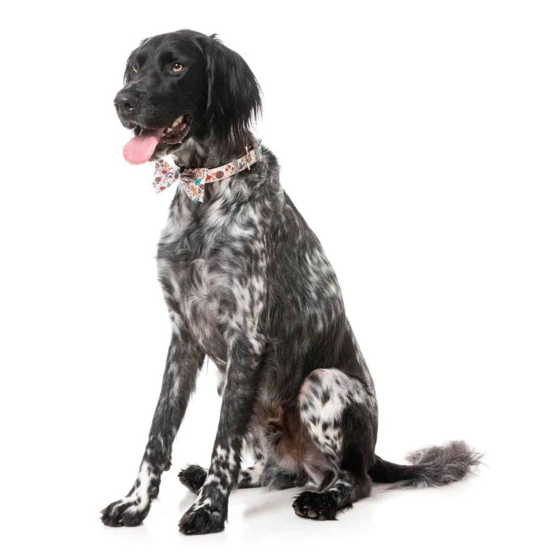 Fuzzyard-Xmas-Dog-Fashion-Set-Tinsel-Time-Hundefliege-Hund