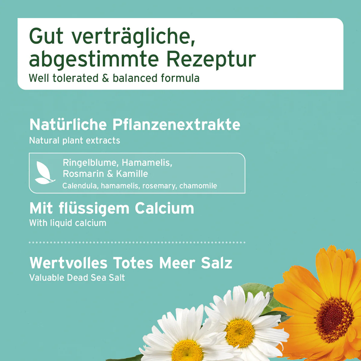 Denta Clean & Care Dentalspray