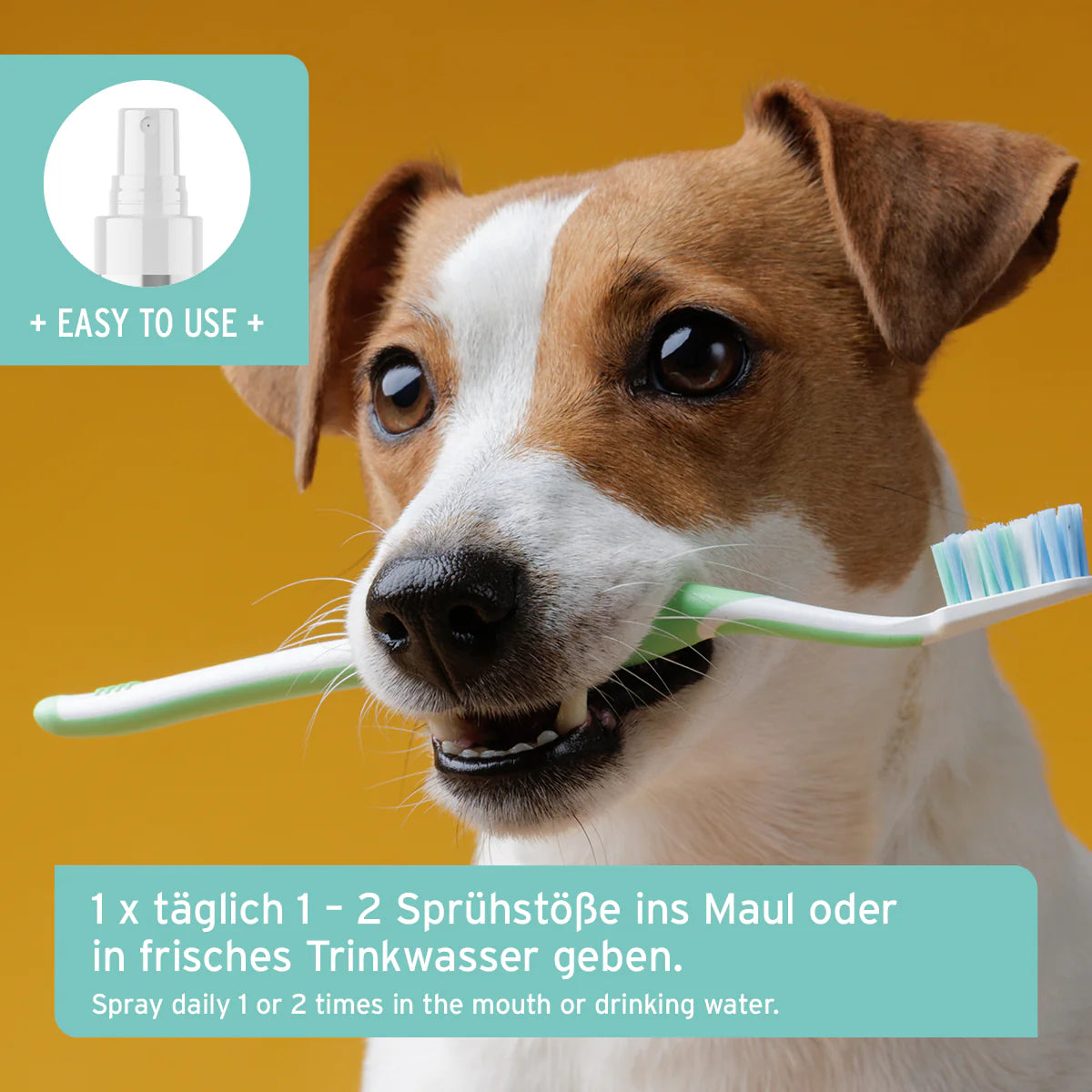 Denta Clean & Care Dentalspray