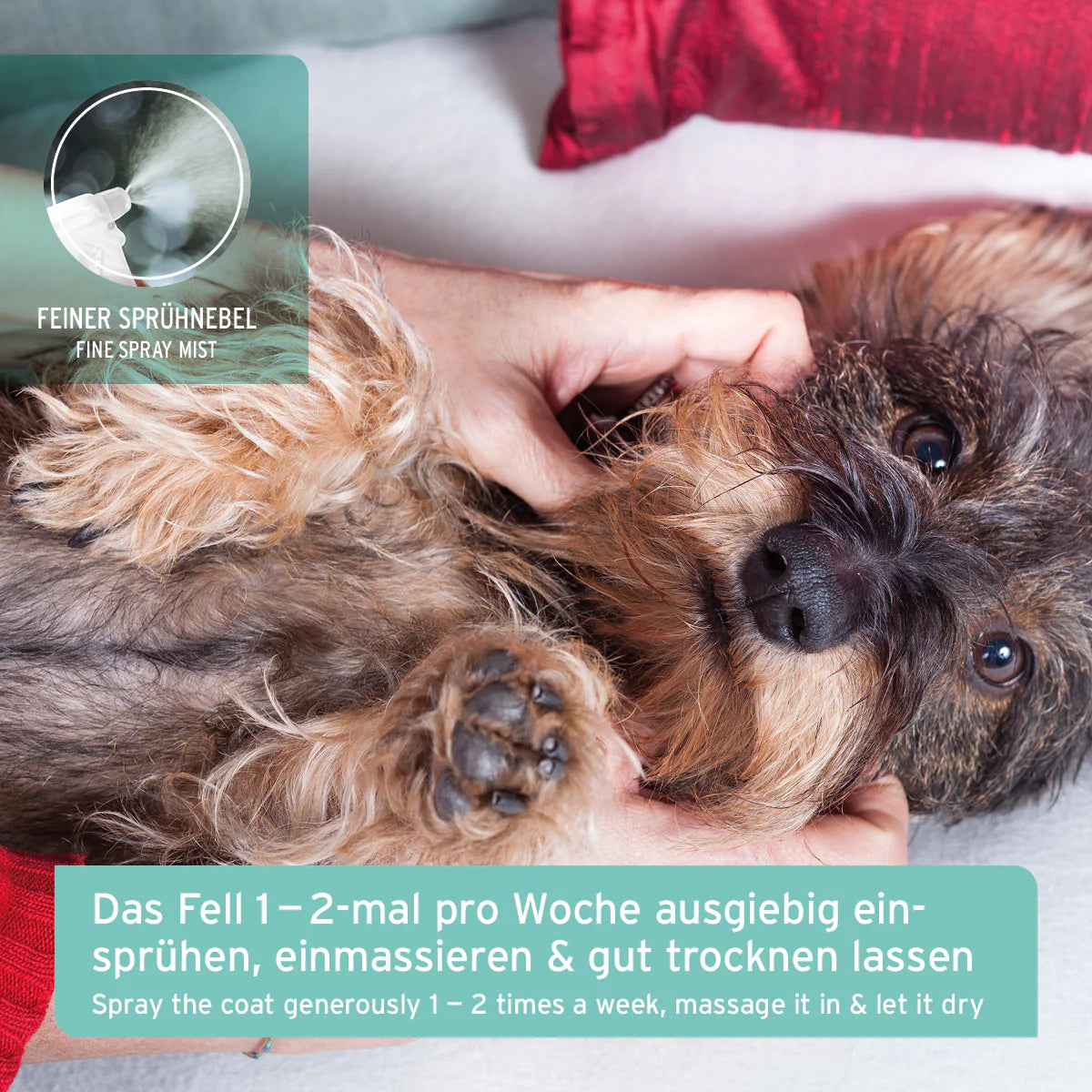 Fellgeruch-STOP Spray für Hunde und Katzen