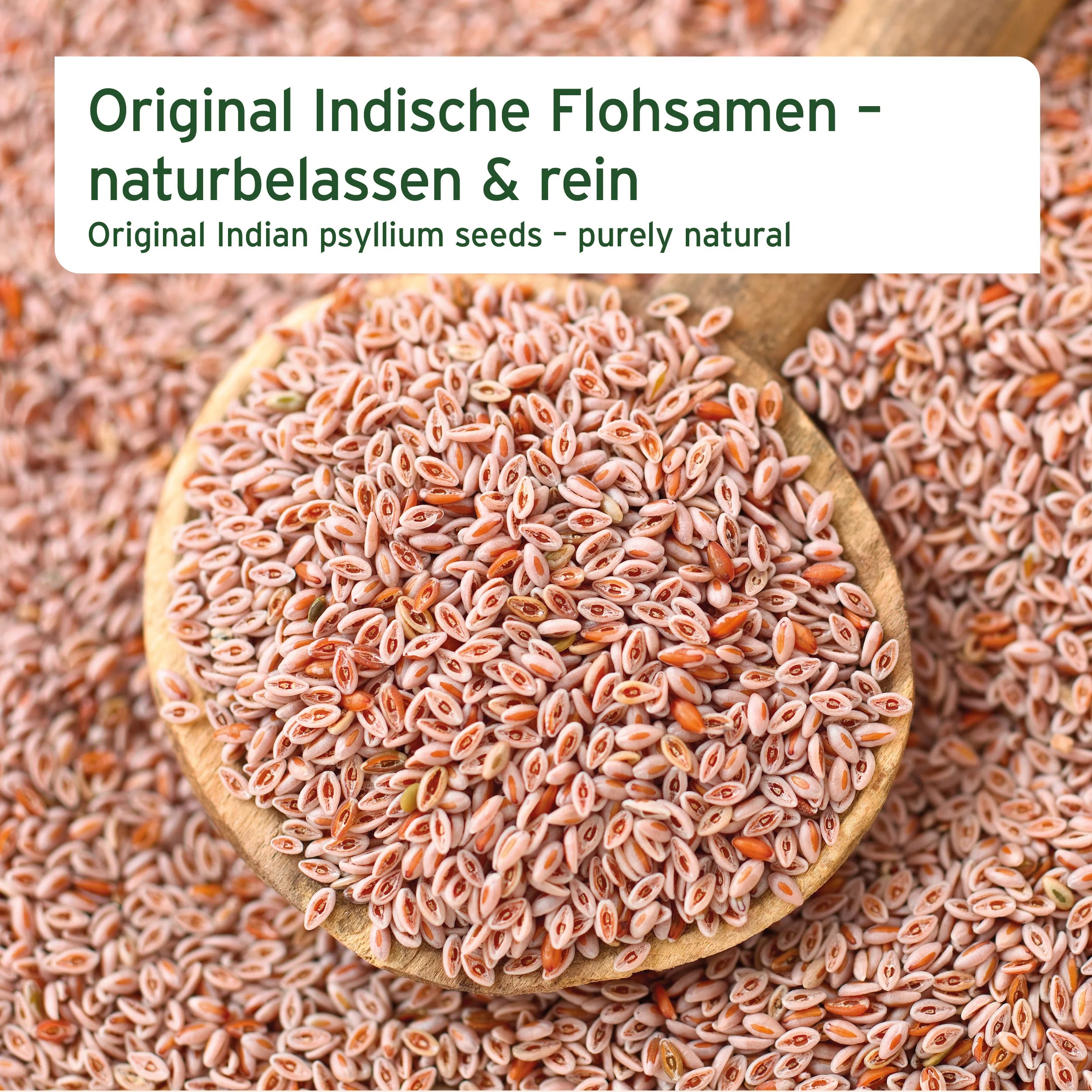 Indische Flohsamen