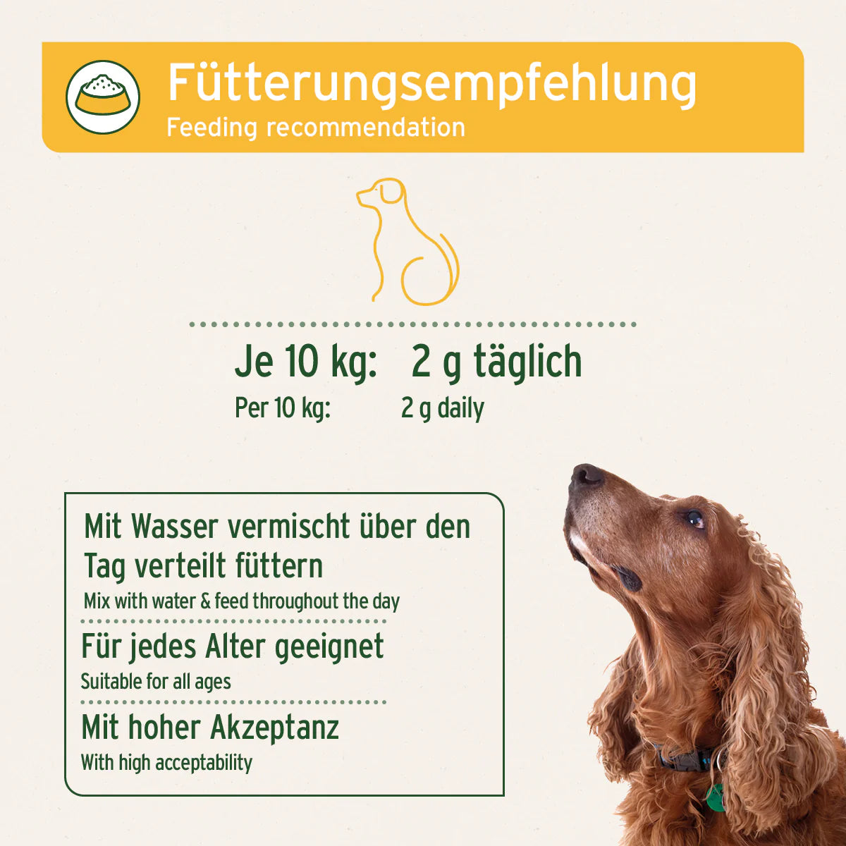 MagenSanft®