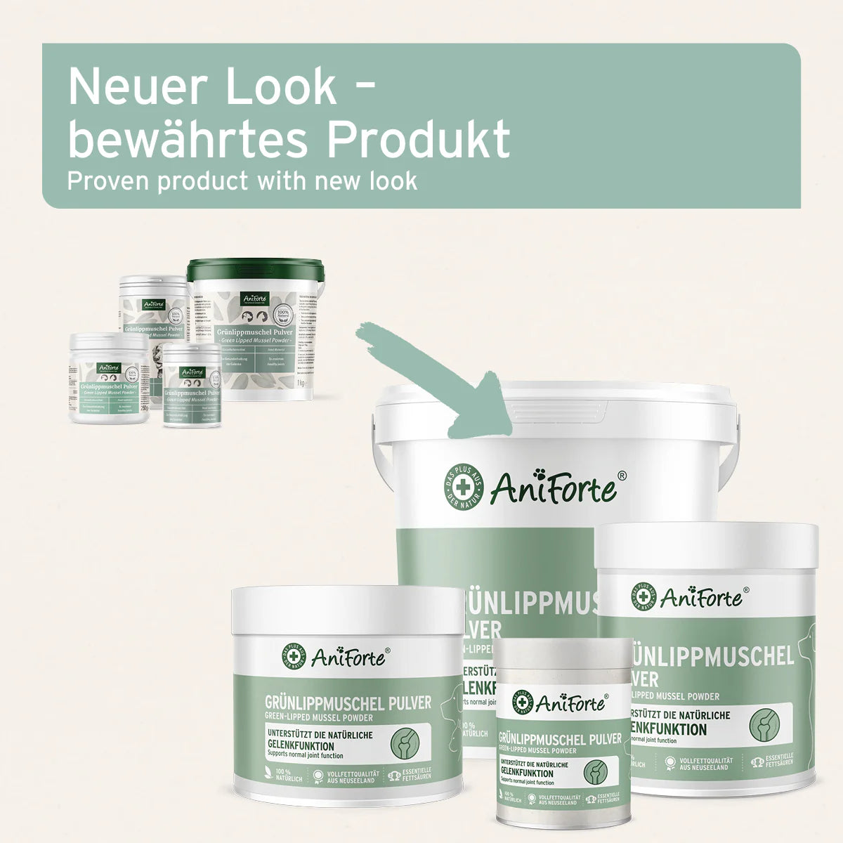 Grünlippmuschel Pulver