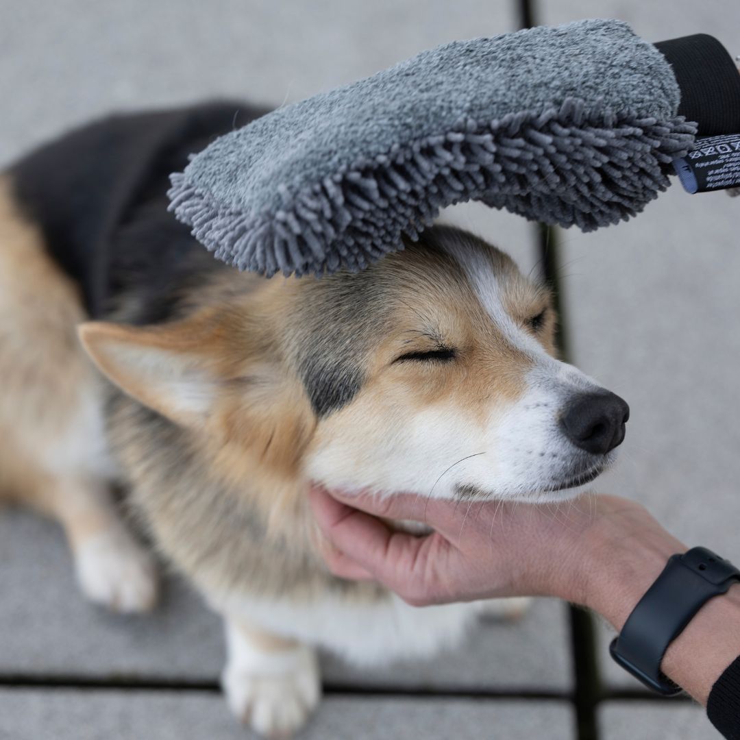 Hunde-Trockenhandschuh-Quick-Dry-Graphit-Mood2