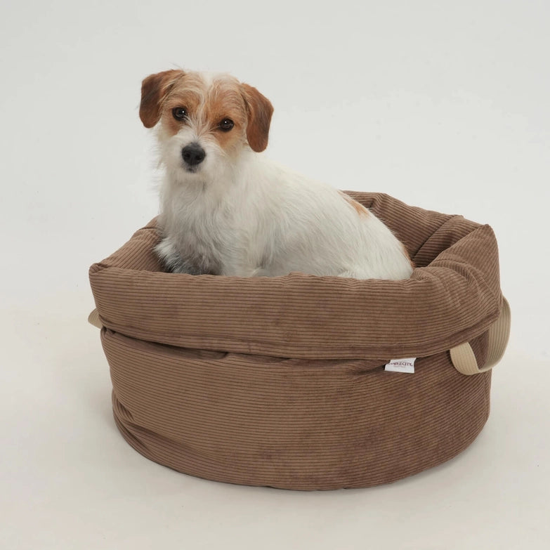 Hundebett-Shopper-Little-Basket-Chelsea-Cord-Toffee-Hund2