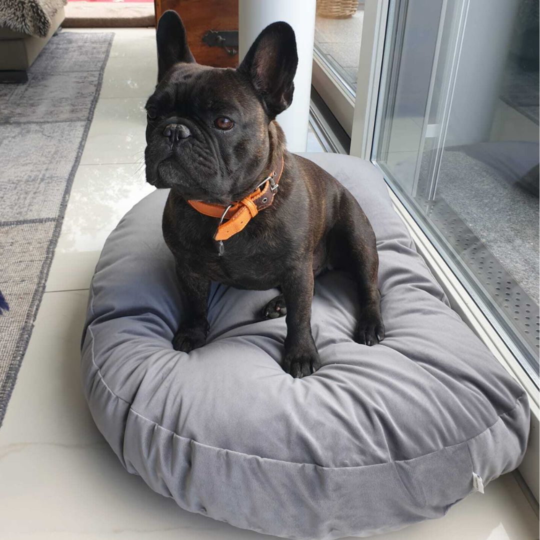 Hundekissen-Luna-Lounge-Oxford-Laboni-Grey-Hund