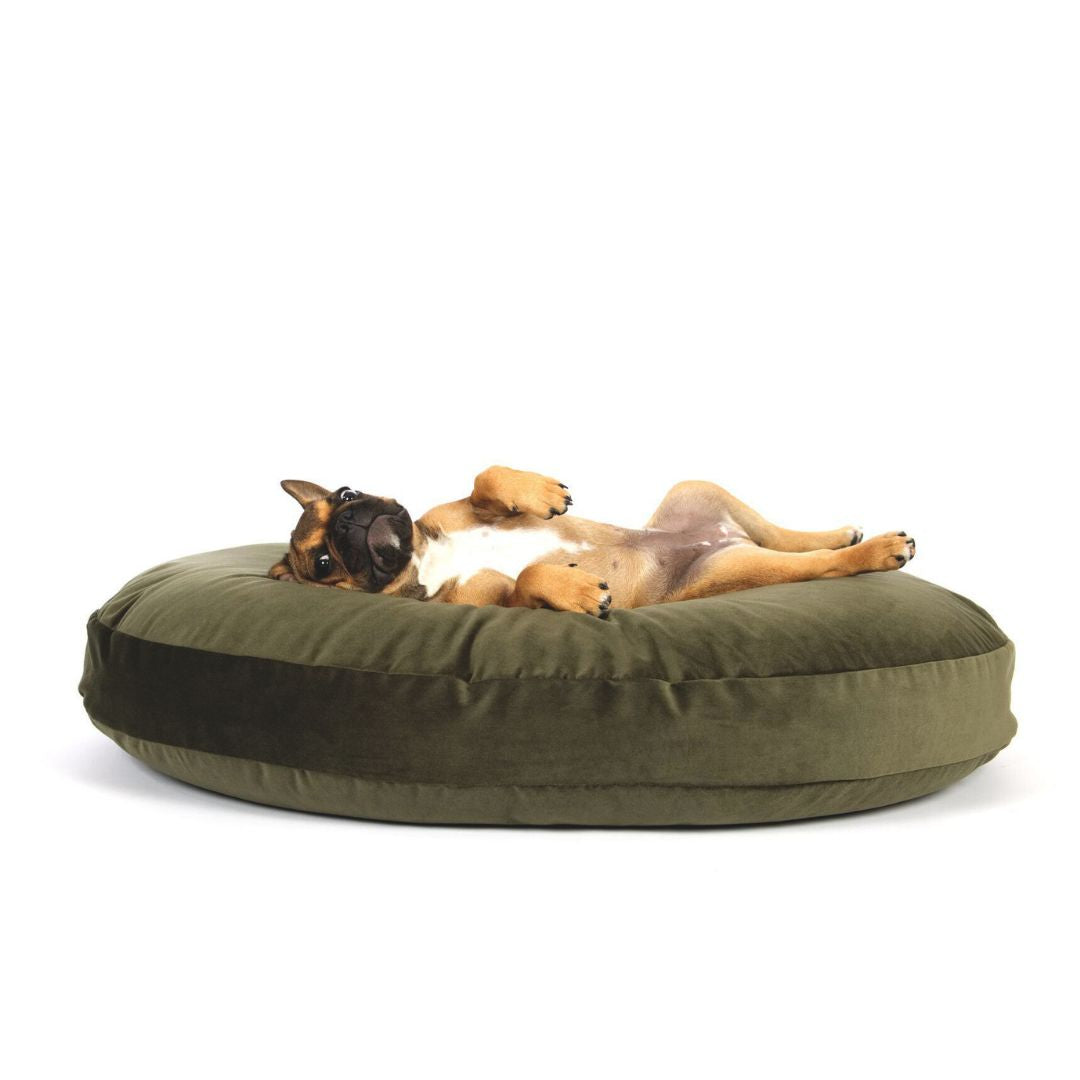 Hundekissen-Luna-Lounge-Oxford-Laboni-Olive-Hund2