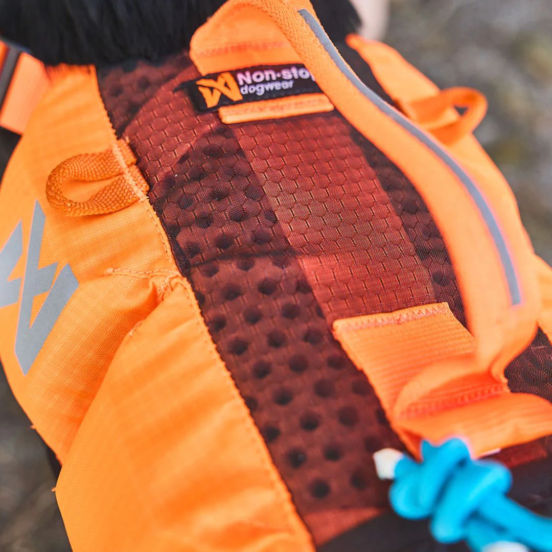 Hundeschwimmweste-non-stop-dogwear-Protector-Life-Jacket-BlackOrange-4