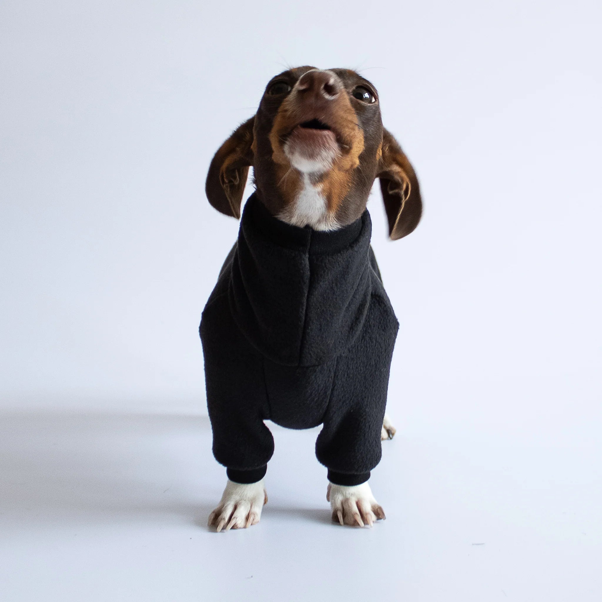 Karma-Hund-Polar-Fleece-Overall-Dackel-Schwarz-Detail