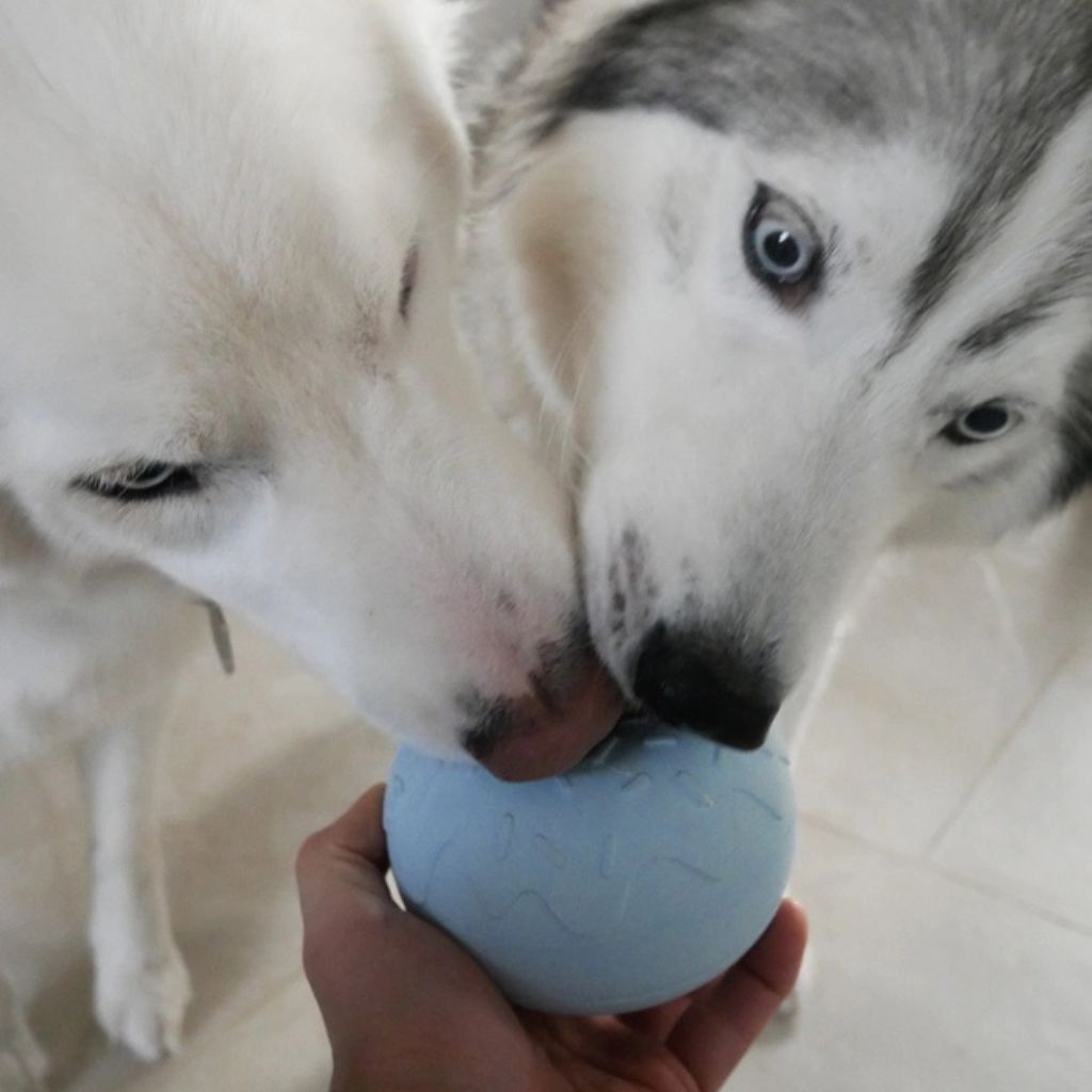 Inooko-Yoomy-Donut-Blue-Mood2