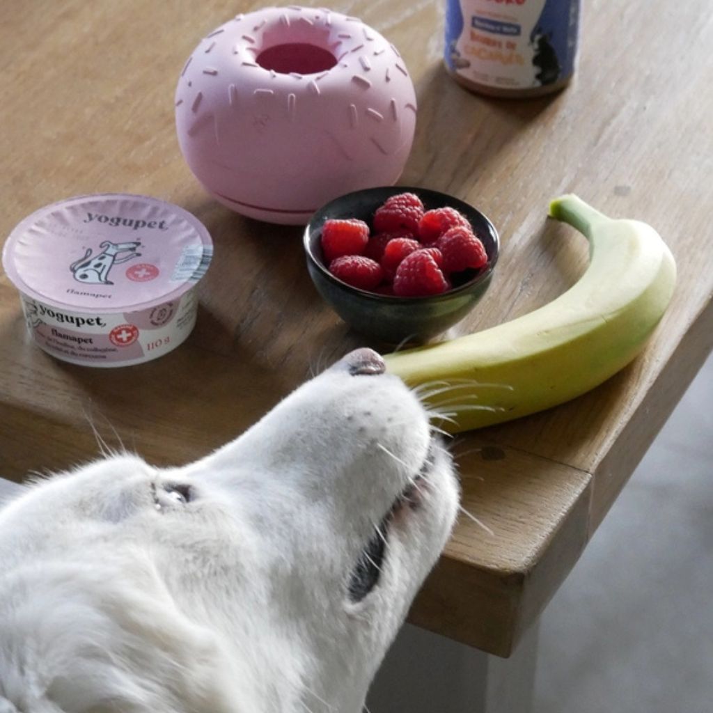 Inooko-Yoomy-Donut-Pink-Mood