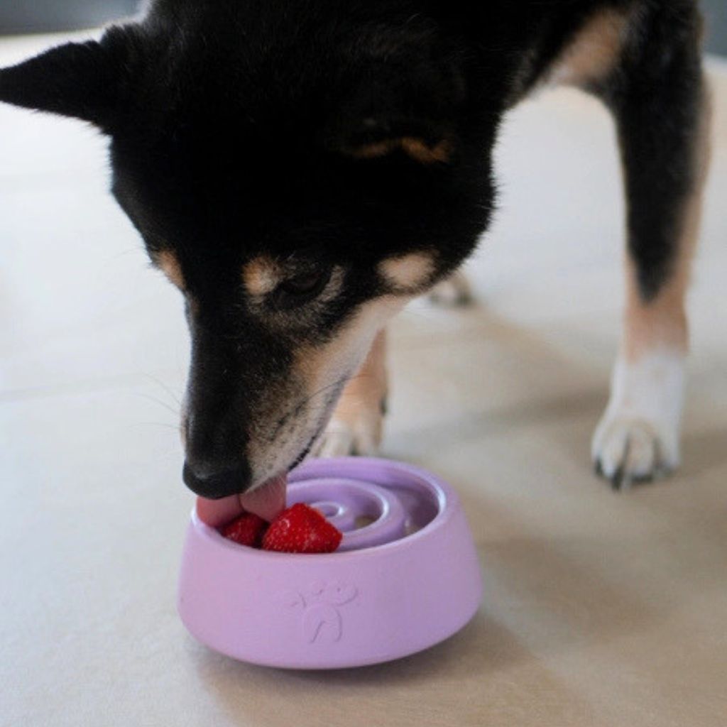 Inooko-Yoomy-Wobble-Lavendel-Hund2