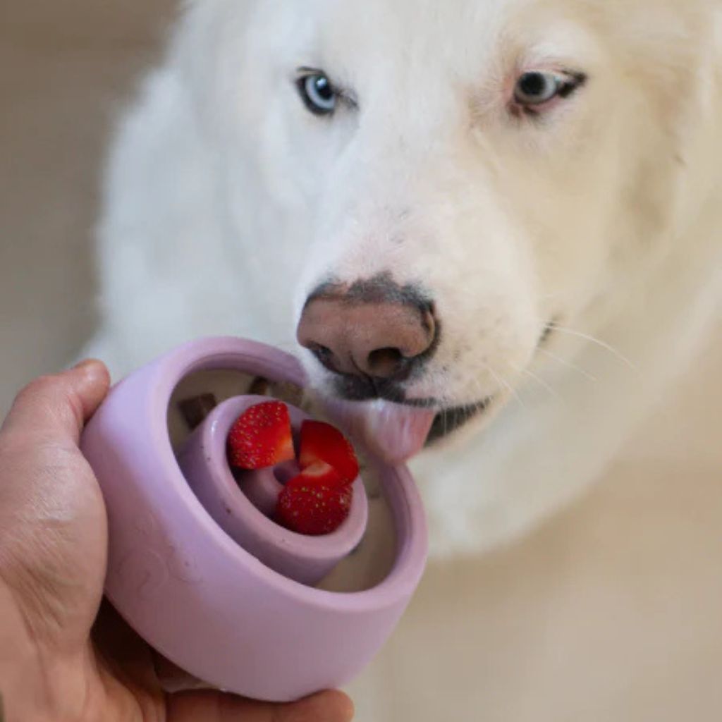 Inooko-Yoomy-Wobble-Lavendel-Hund3