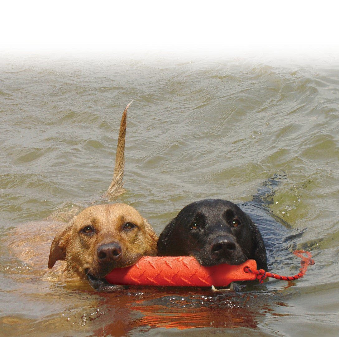 Kong-Training-Dummy-Hunde