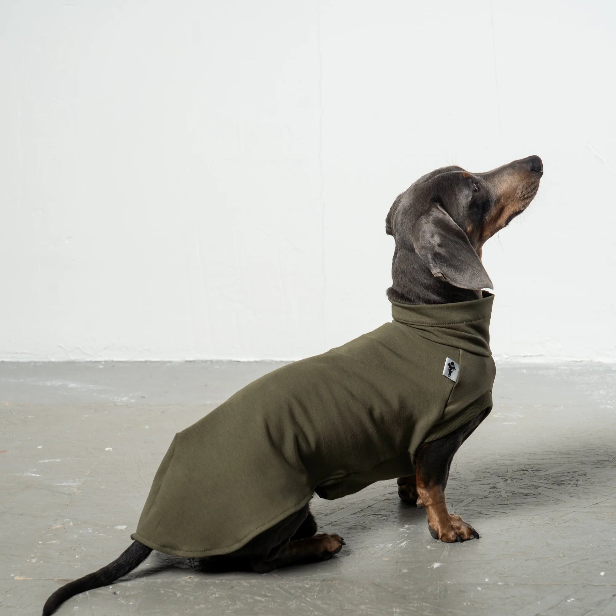 Karma-Hund-Baumwollshirt-Dackel-DarkOlive-5