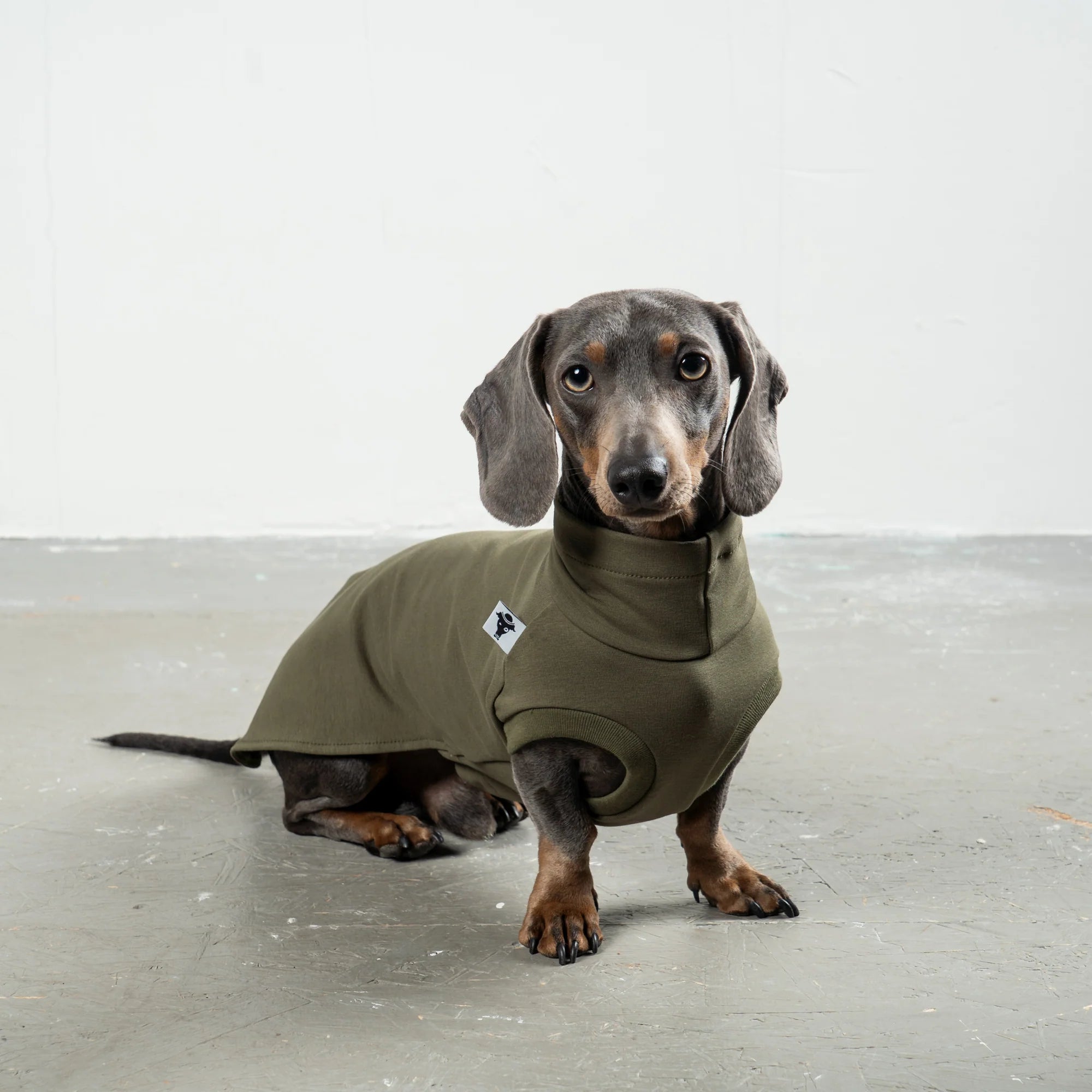 Karma-Hund-Baumwollshirt-Dackel-DarkOlive