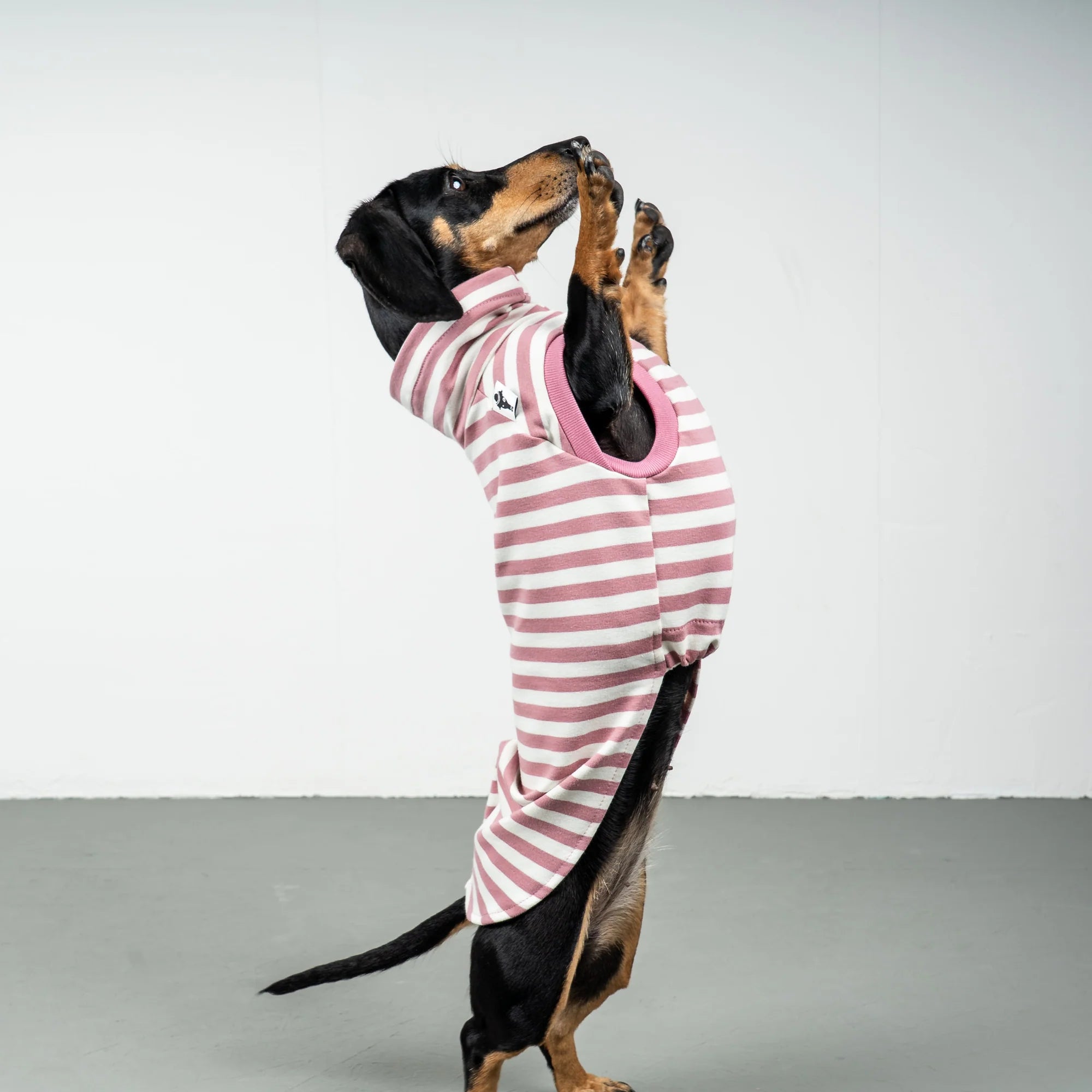 Karma-Hund-Baumwollshirt-Dackel-Pink-Stripes-2