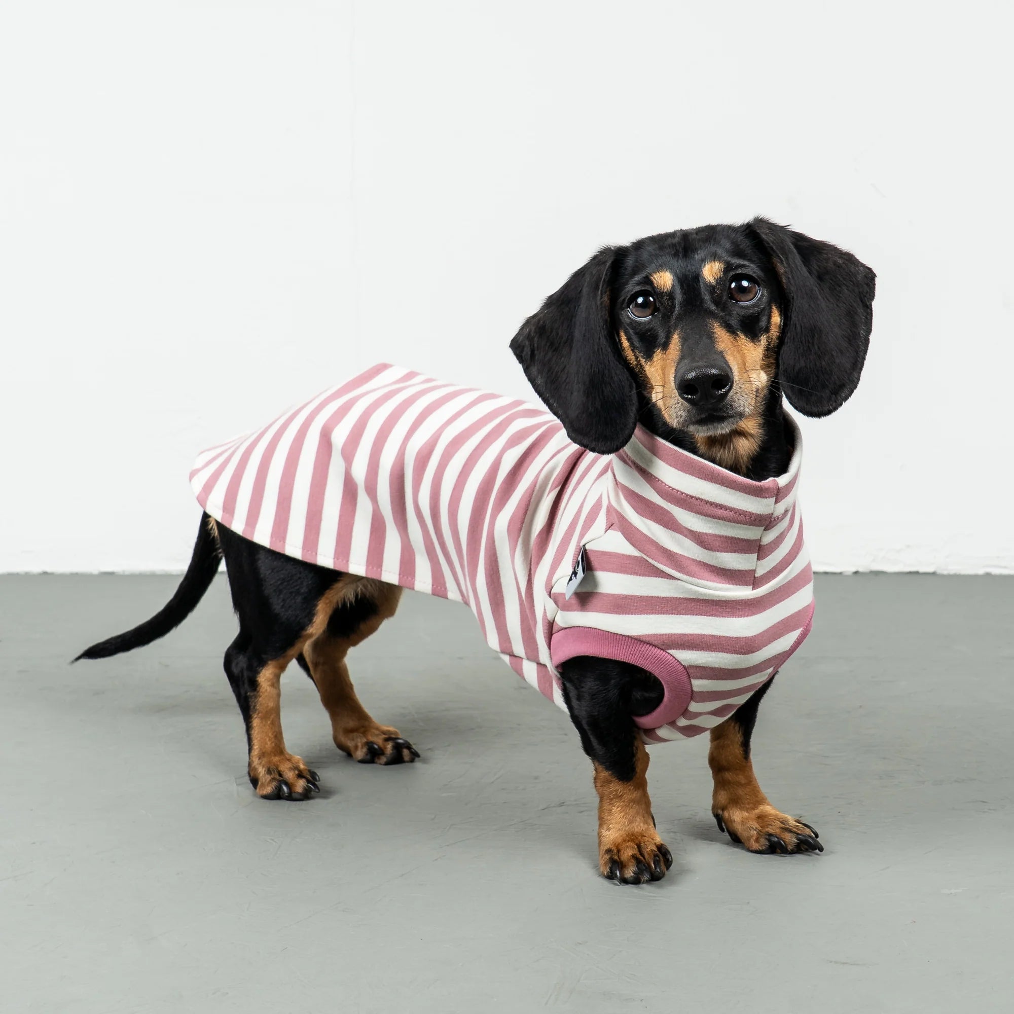 Karma-Hund-Baumwollshirt-Dackel-Pink-Stripes