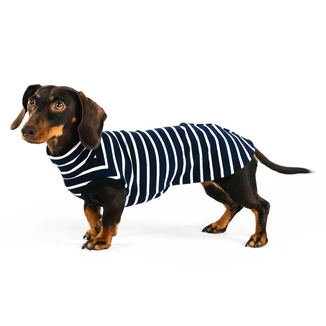 Karma-Hund-Dackel-Cotton-Shirt-Navy-Hund6