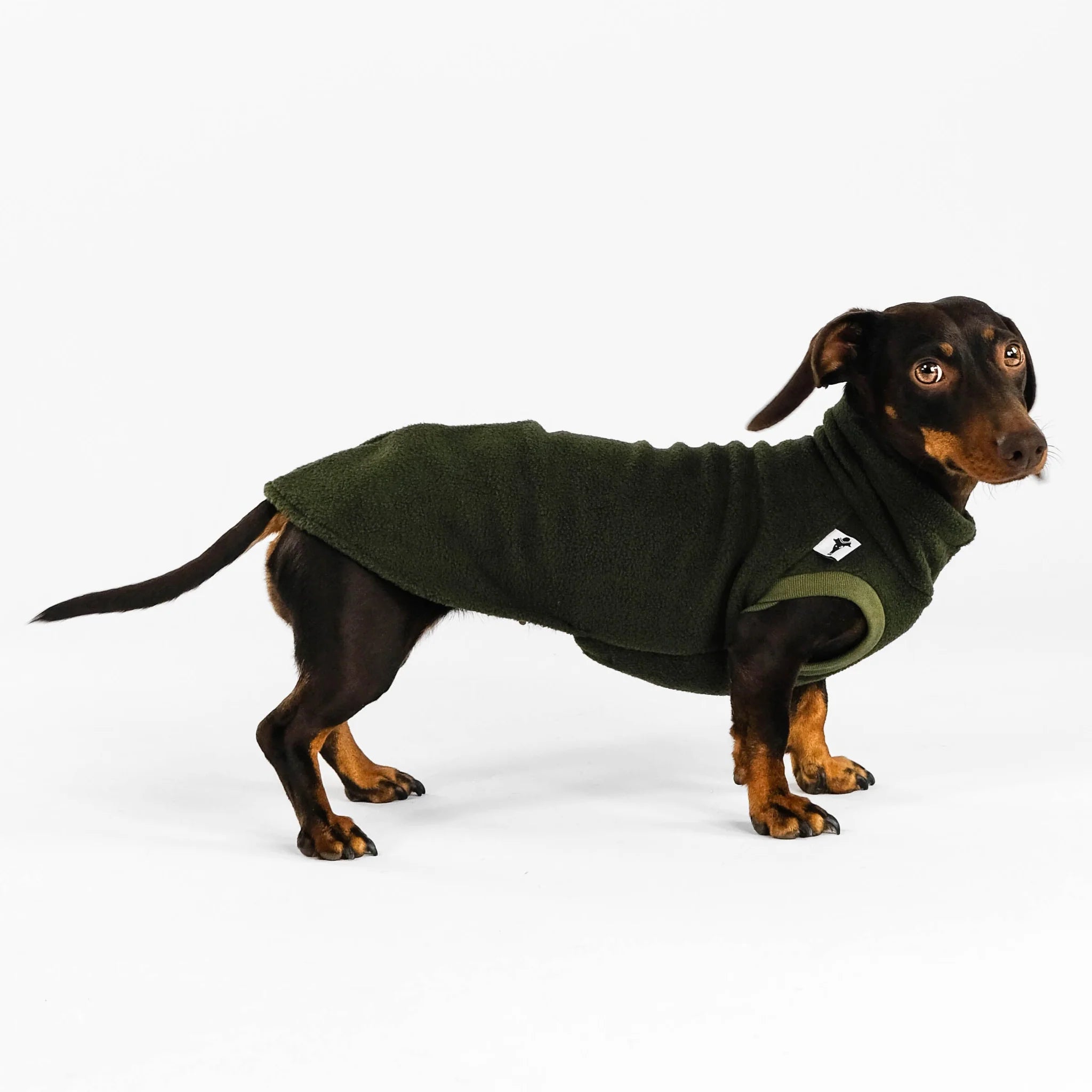 Karma-Hund-Dackel-Fleece-Longshirt-Dark-Olive2