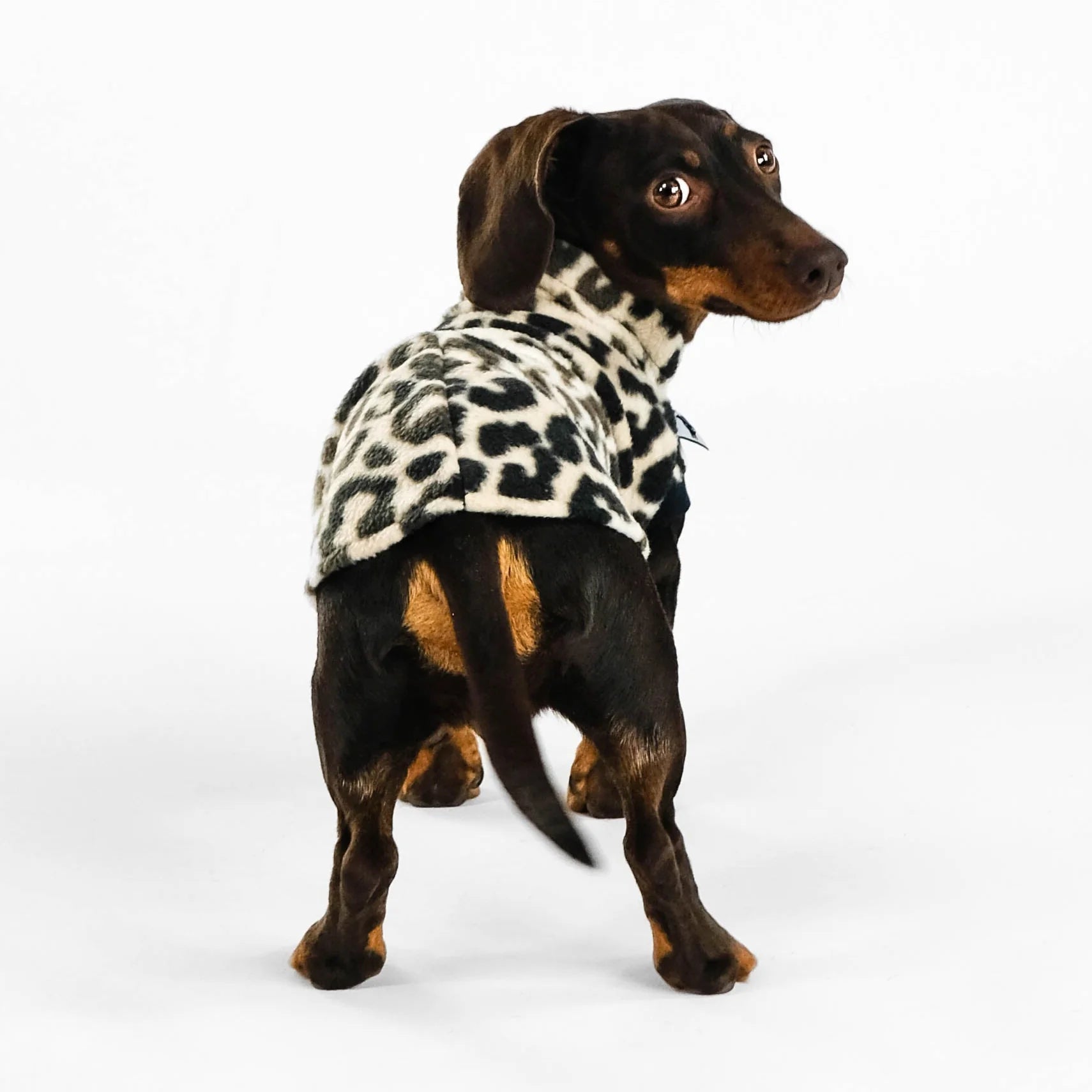 Karma-Hund-Dackel-Fleece-Longshirt-Leo4