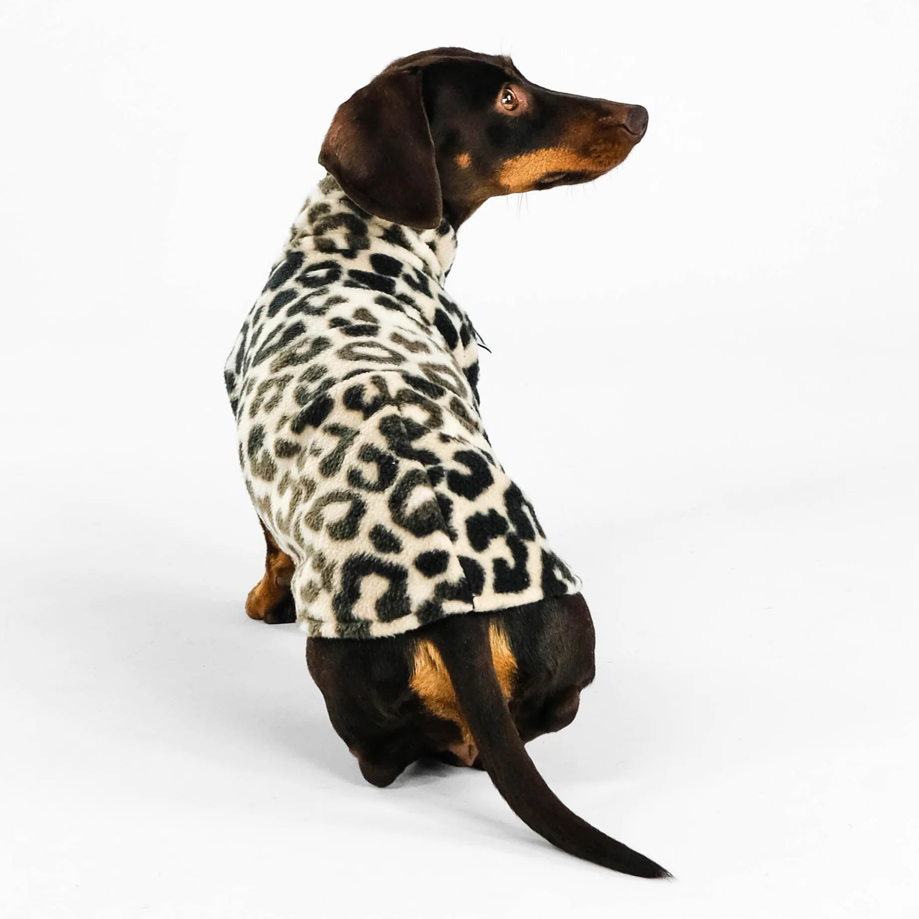 Karma-Hund-Dackel-Fleece-Longshirt-Leo5
