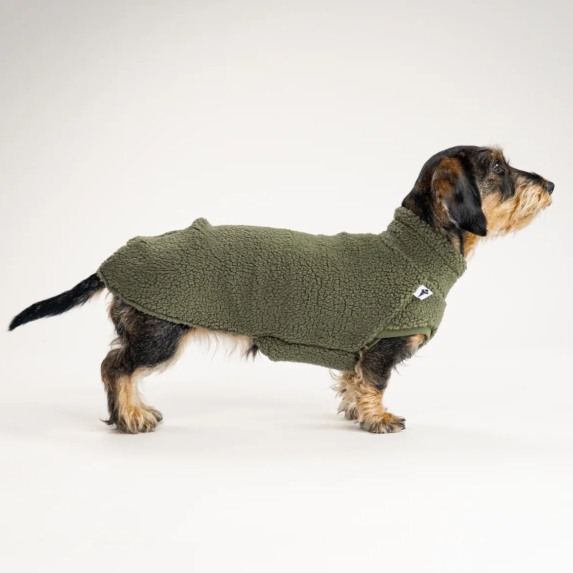 Karma-Hund-Dackel-Teddy-Longshirt-Dark-Olive-Seite