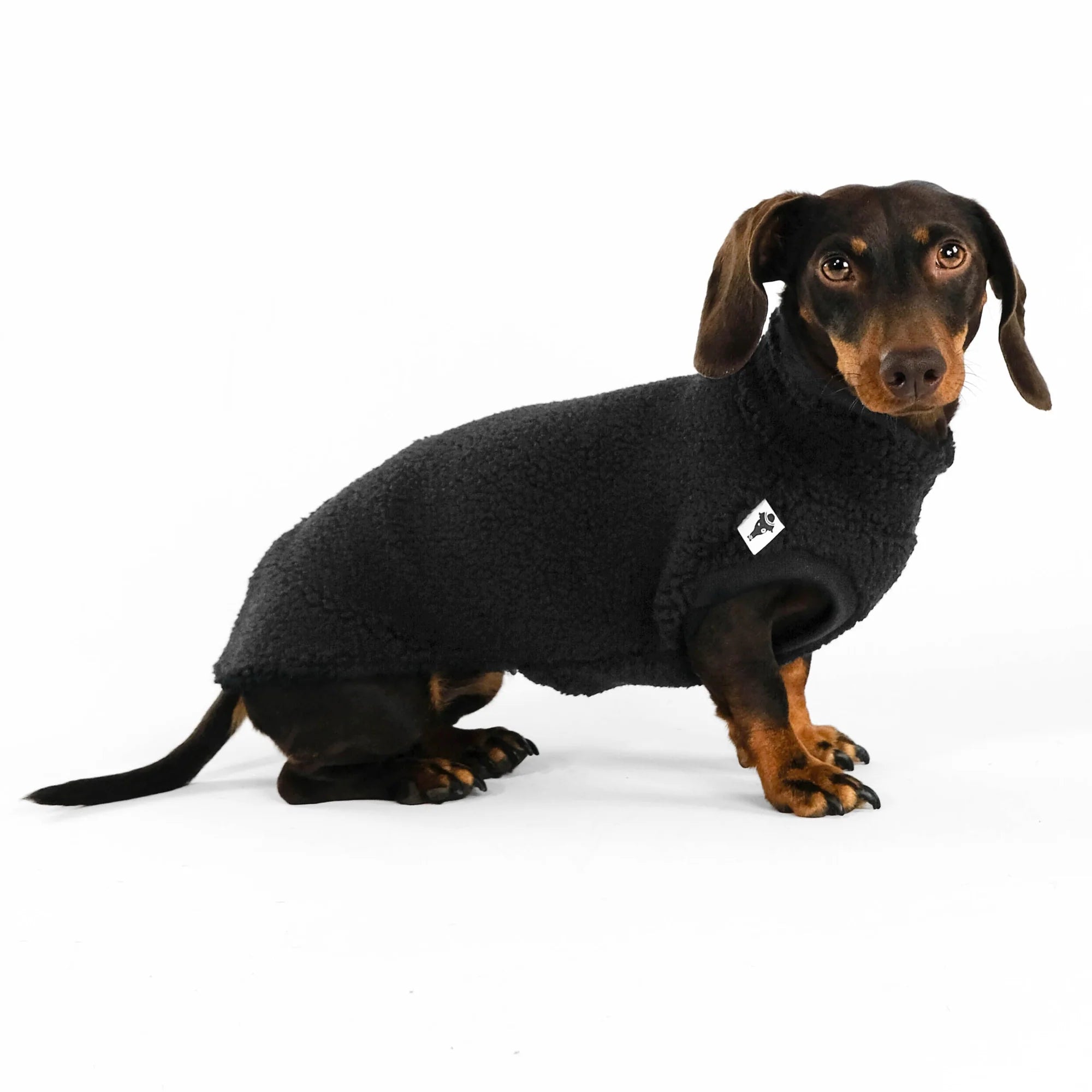 Karma-Hund-Dackel-Teddy-Longshirt-Schwarz-Seite
