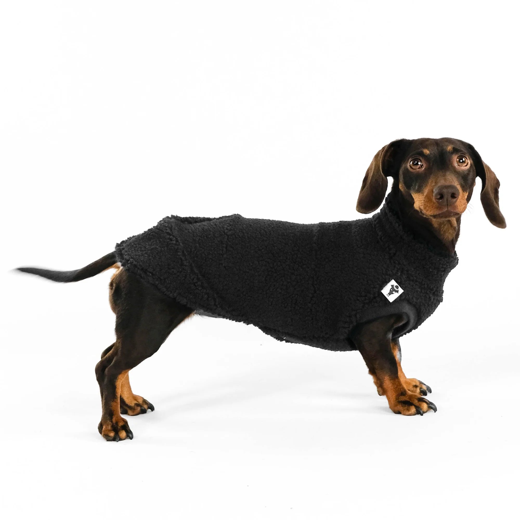 Karma-Hund-Dackel-Teddy-Longshirt-Schwarz