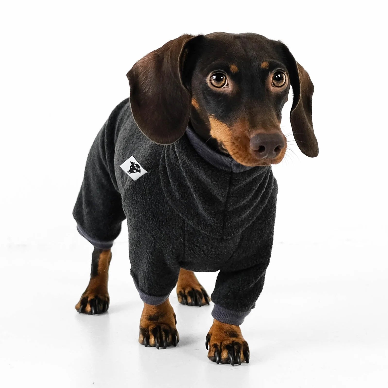 Karma-Hund-Hundepullover-Polar-Fleece-Overall-Dackel-Anthrazit-frontal