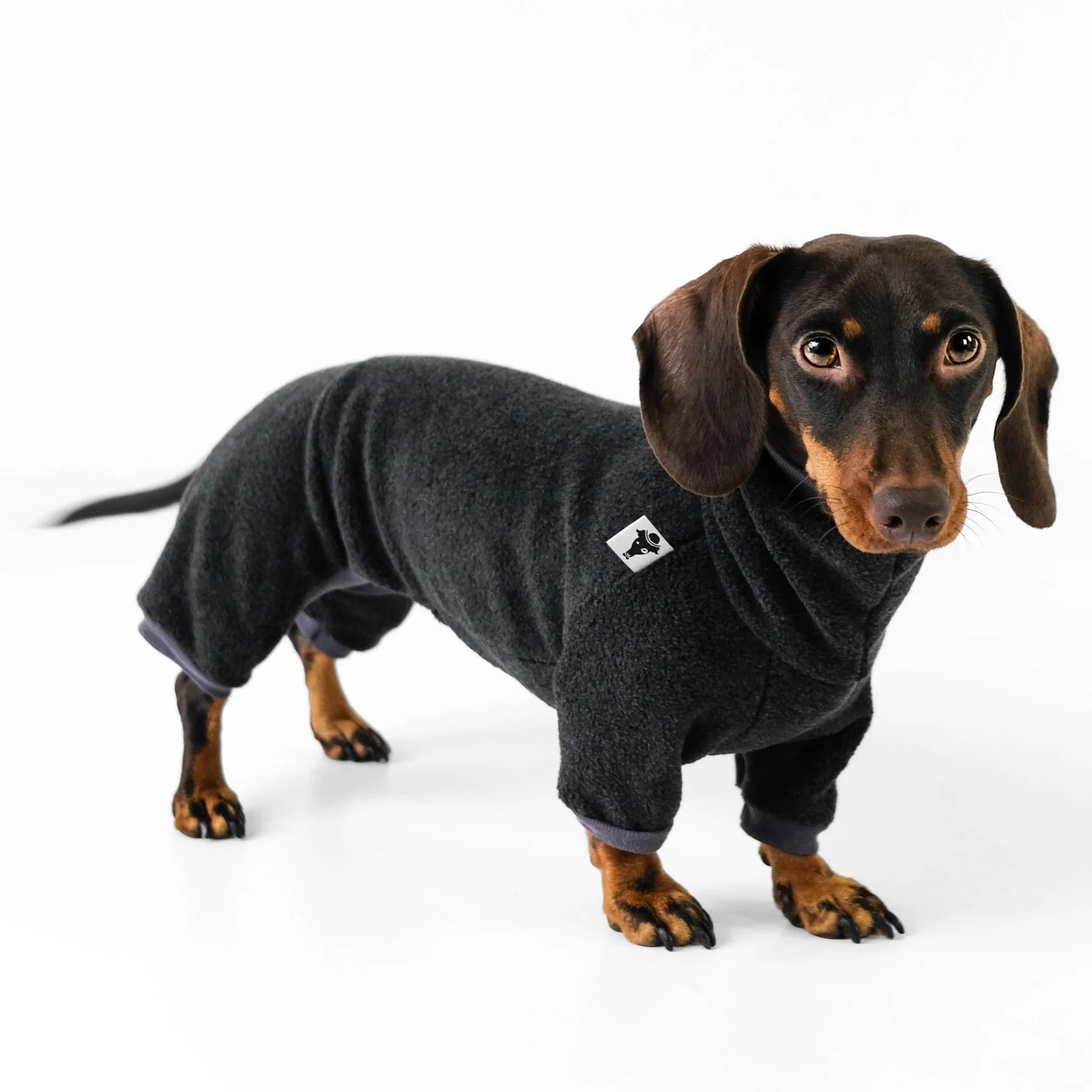Karma-Hund-Hundepullover-Polar-Fleece-Overall-Dackel-Anthrazit2