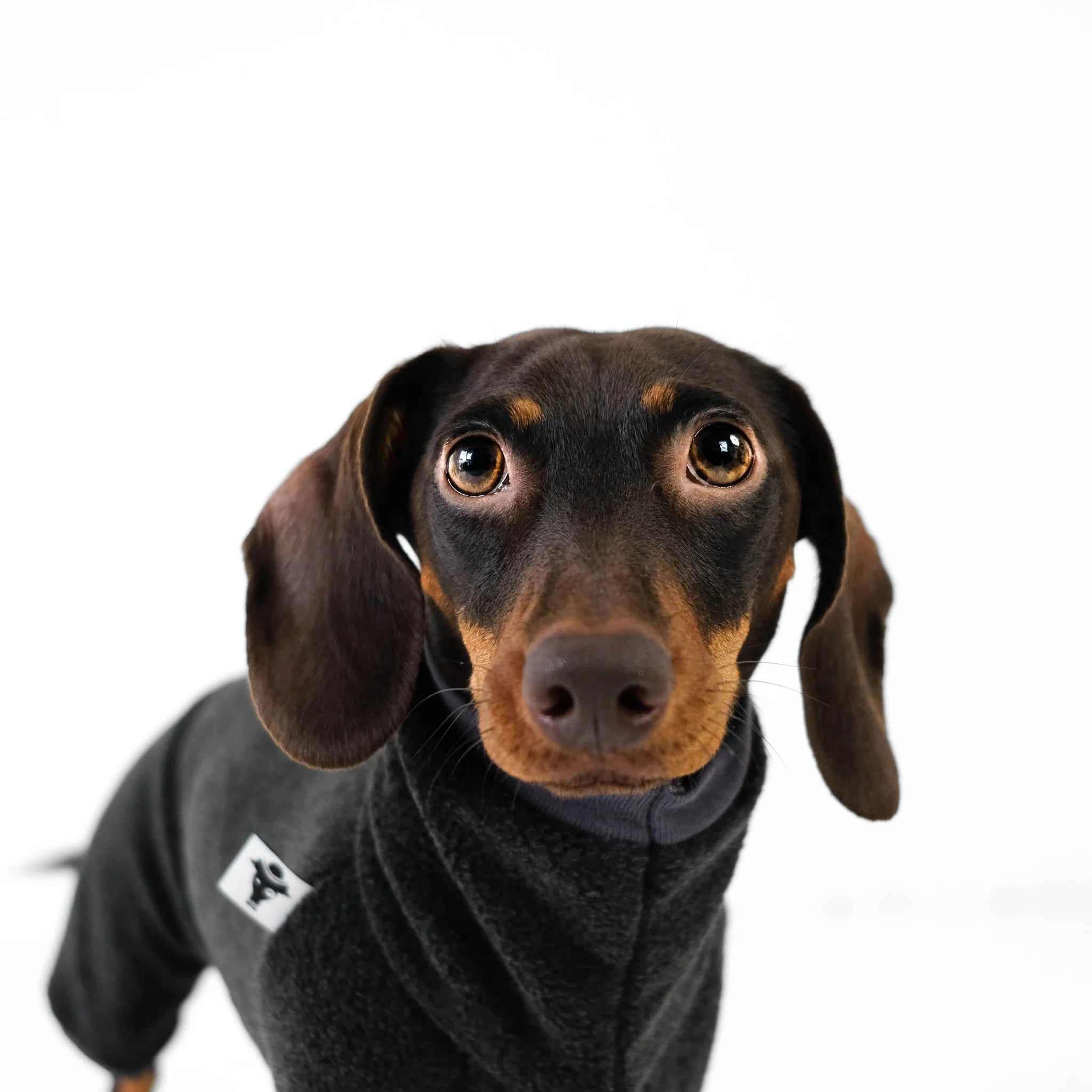 Karma-Hund-Hundepullover-Polar-Fleece-Overall-Dackel-Anthrazit3