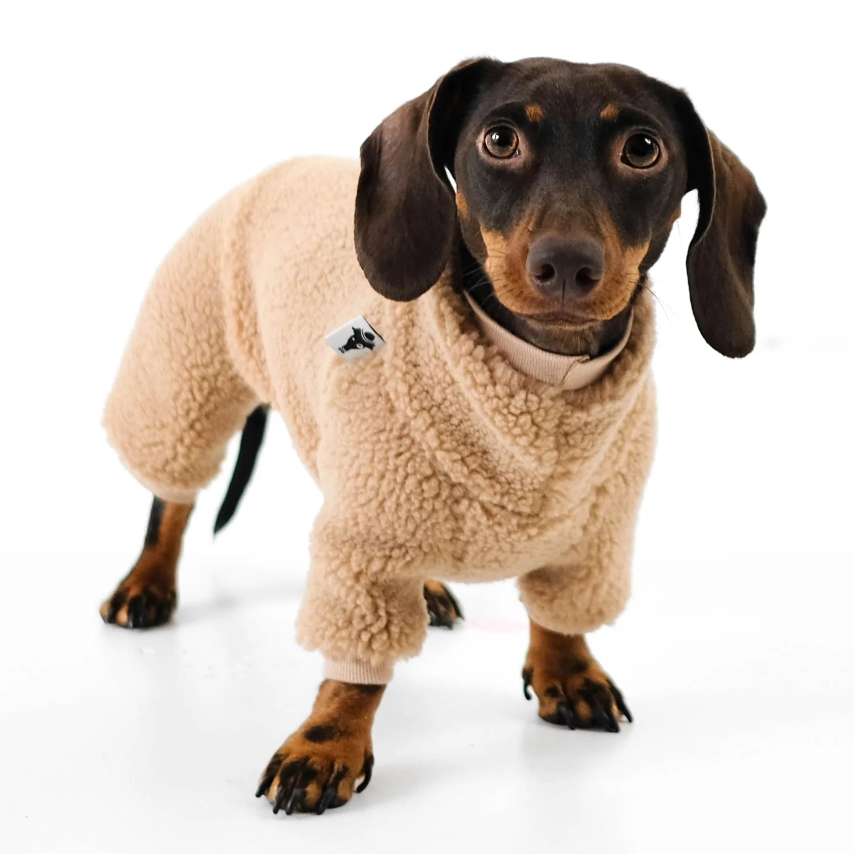 Karma-Hund-Hundepullover-Teddy-Overall-Dackel-Dark-Beige-frontal