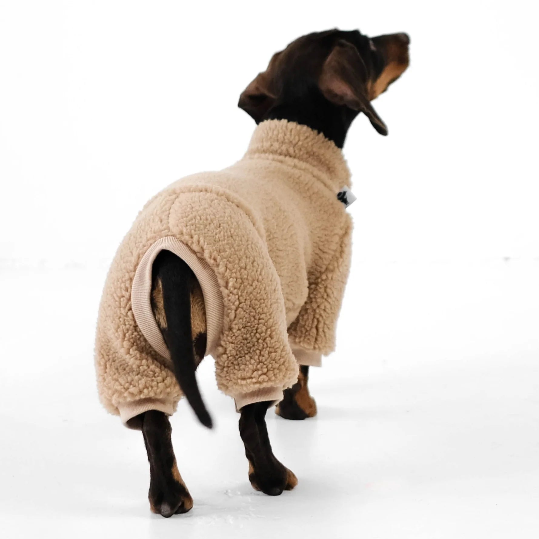 Karma-Hund-Hundepullover-Teddy-Overall-Dackel-Dark-Beige-hinten