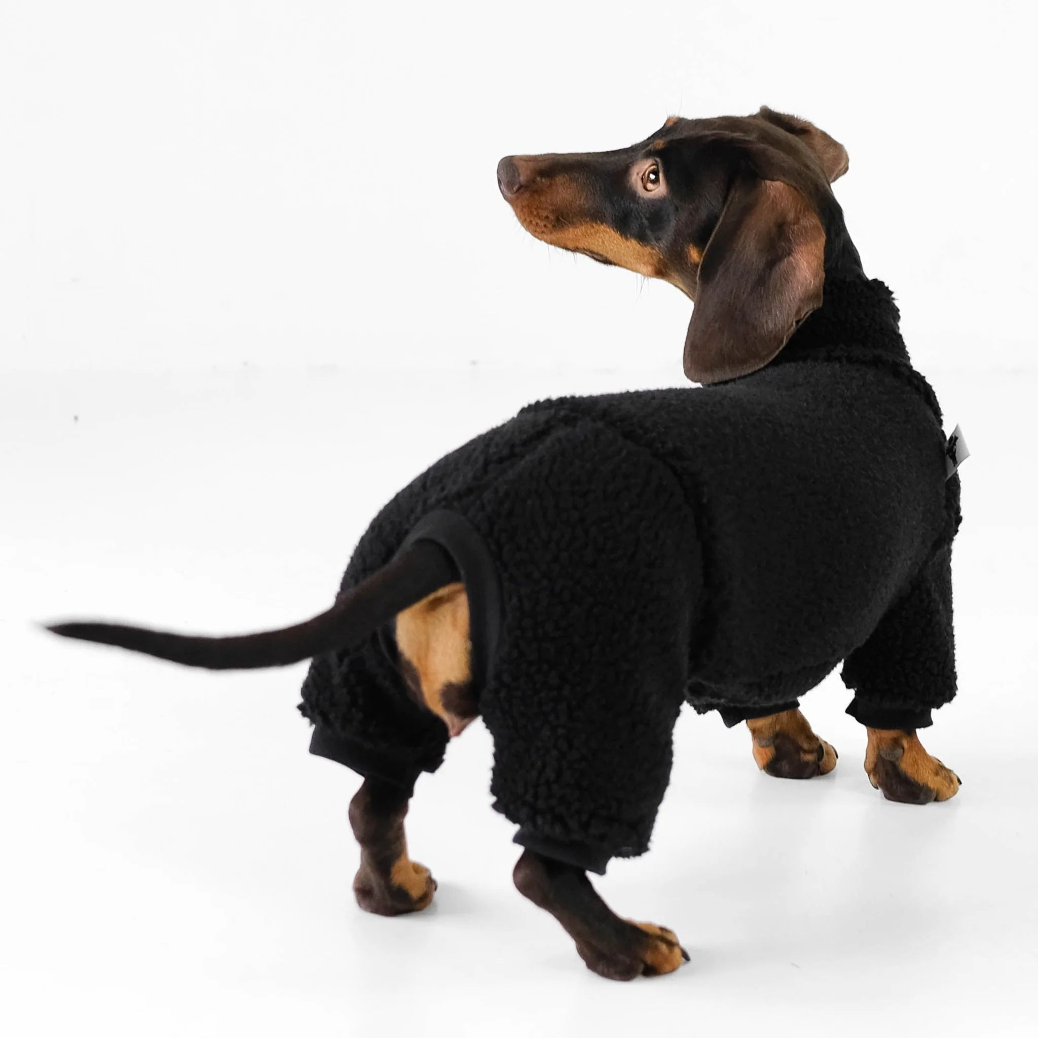 Karma-Hund-Hundepullover-Teddy-Overall-Dackel-Schwarz-Rückseite