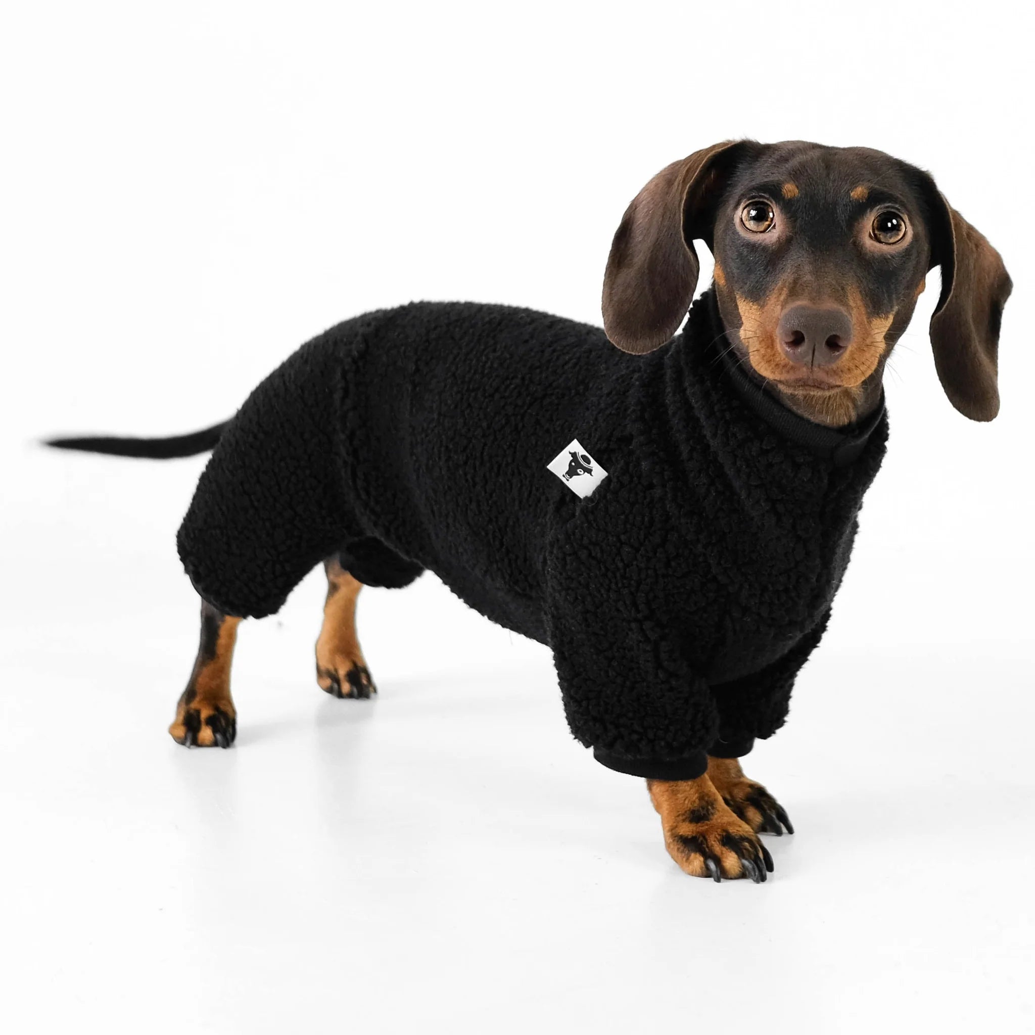 Karma-Hund-Hundepullover-Teddy-Overall-Dackel-Schwarz-Seite