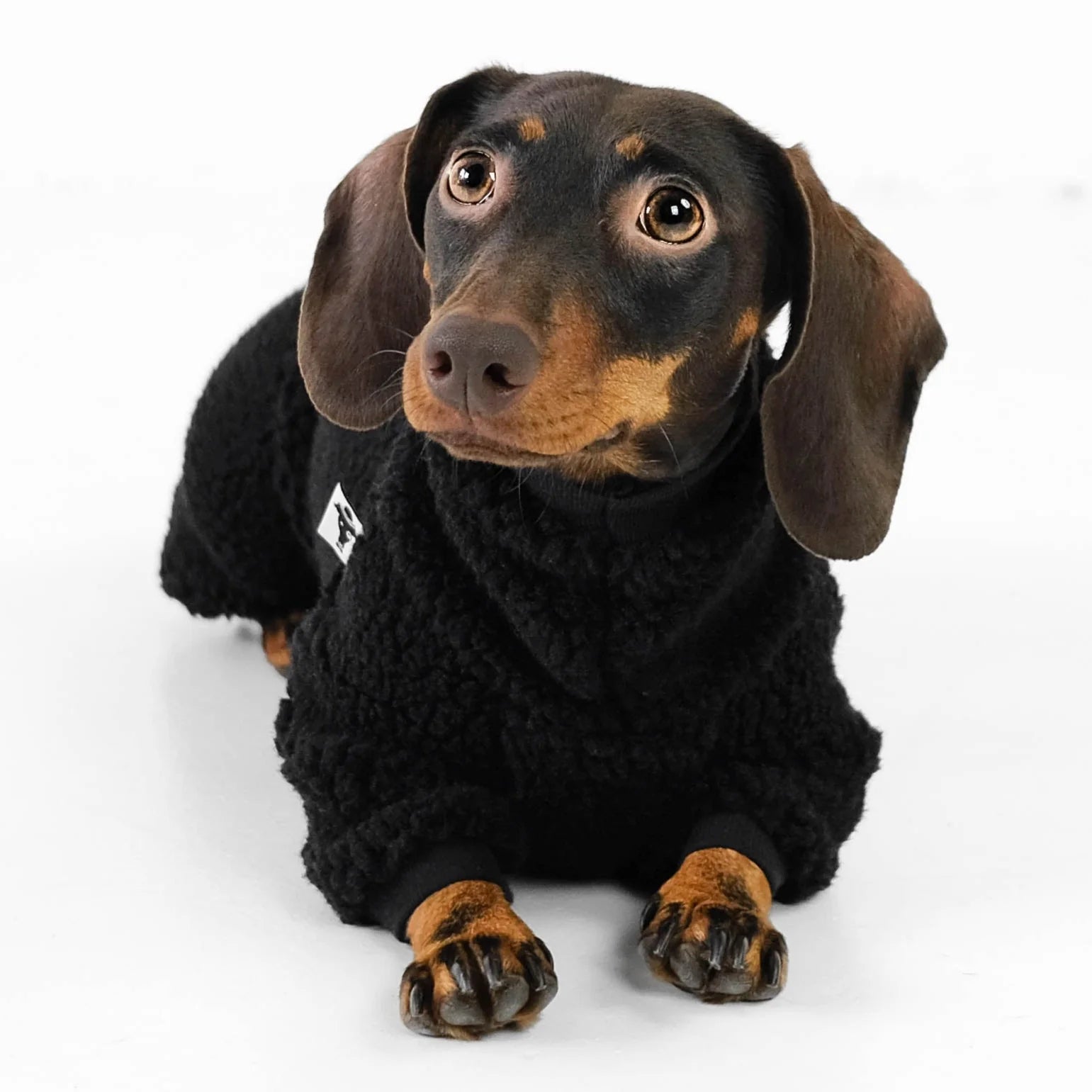 Karma-Hund-Hundepullover-Teddy-Overall-Dackel-Schwarz-liegend