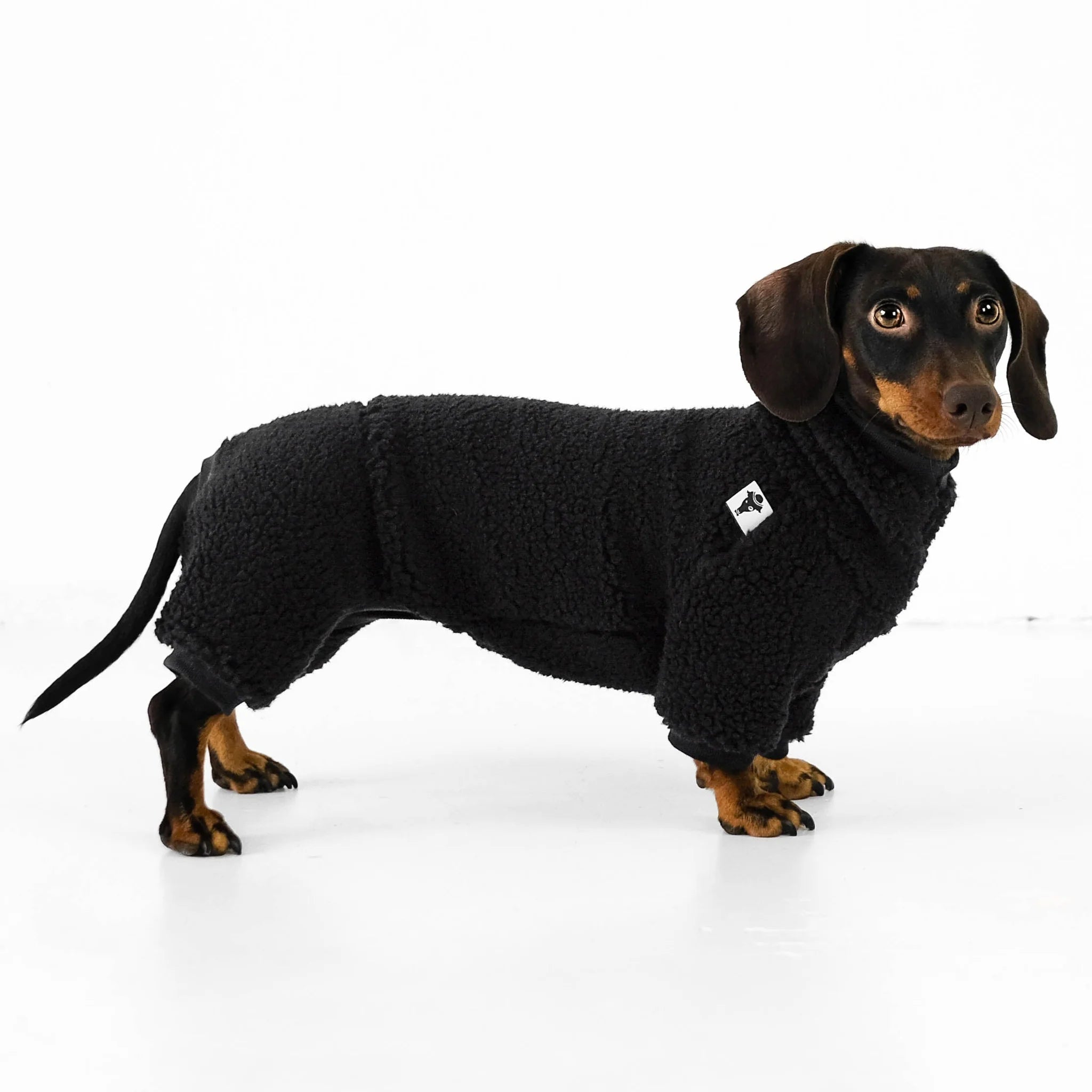 Karma-Hund-Hundepullover-Teddy-Overall-Dackel-Schwarz
