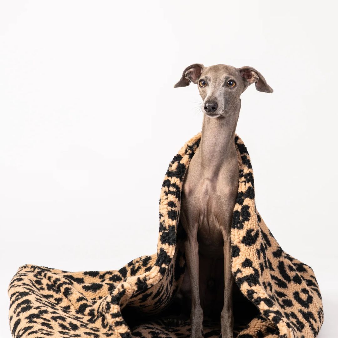 Karma-Hund-Hundeschlafsack-Leo-3