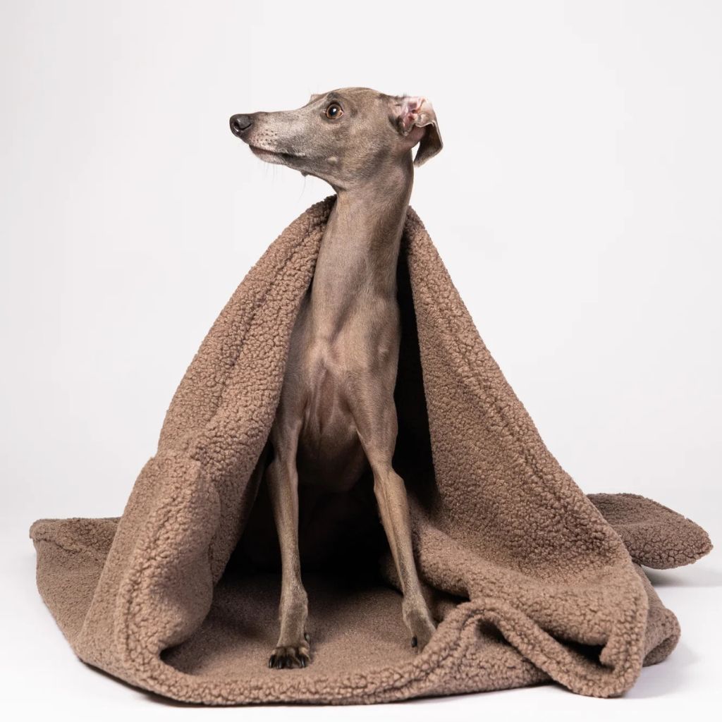 Karma-Hund-Hundeschlafsack-Mokka2