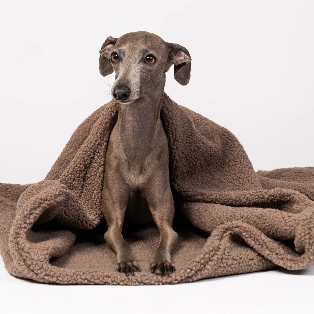 Karma-Hund-Hundeschlafsack-Mokka3