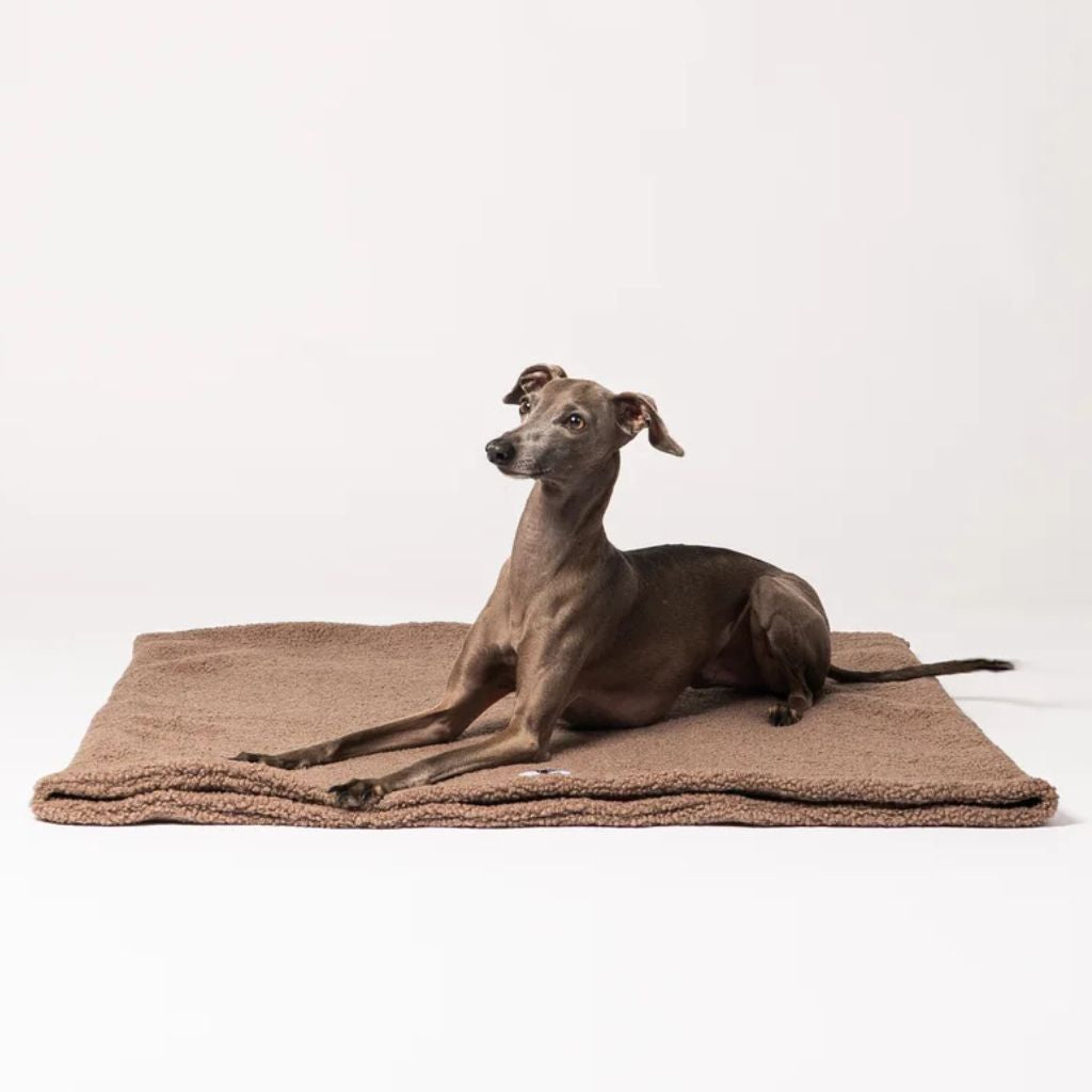 Karma-Hund-Hundeschlafsack-Mokka6