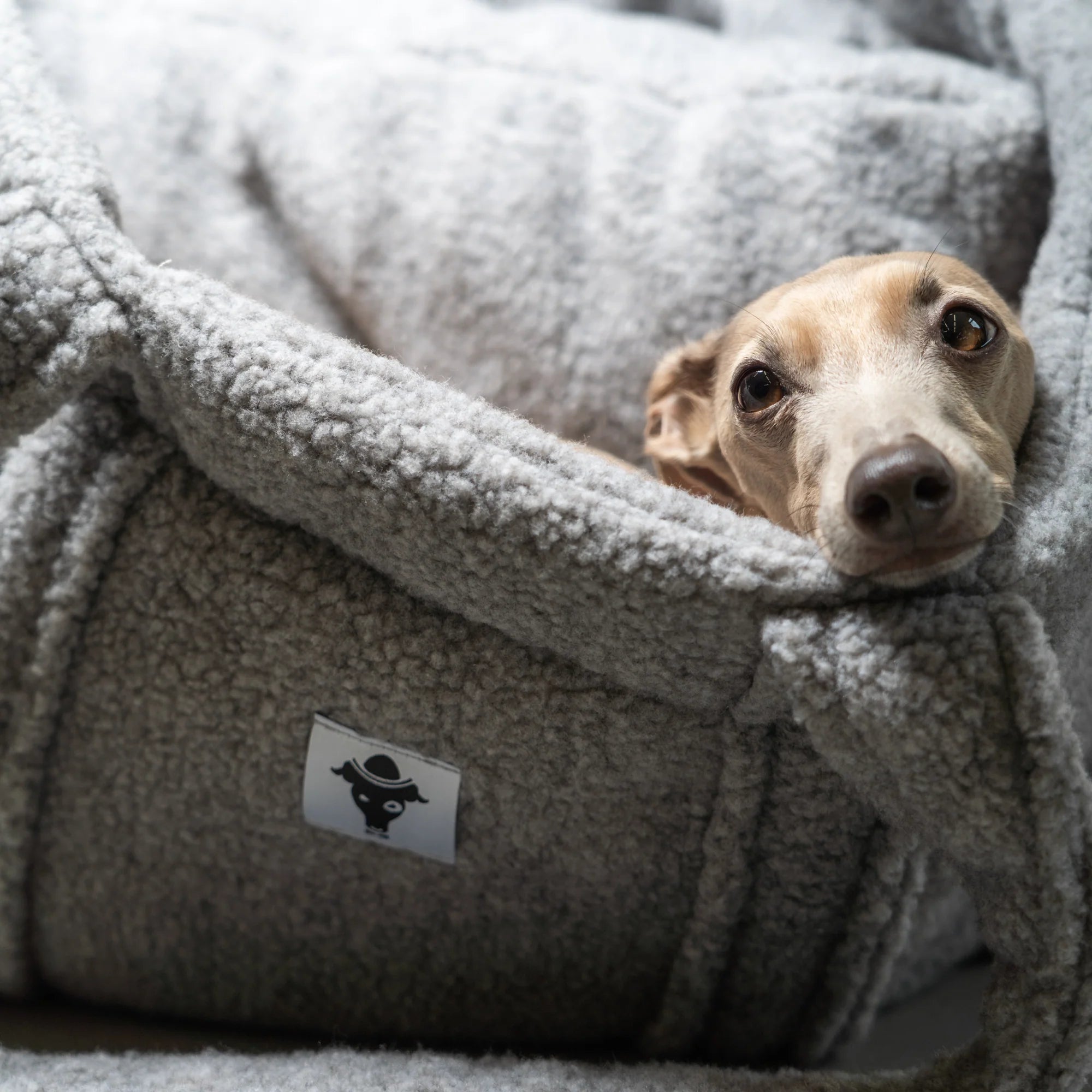 Karma-Hund-Hundetragetasche-Teddy-Shopper-Grey-Iggy4