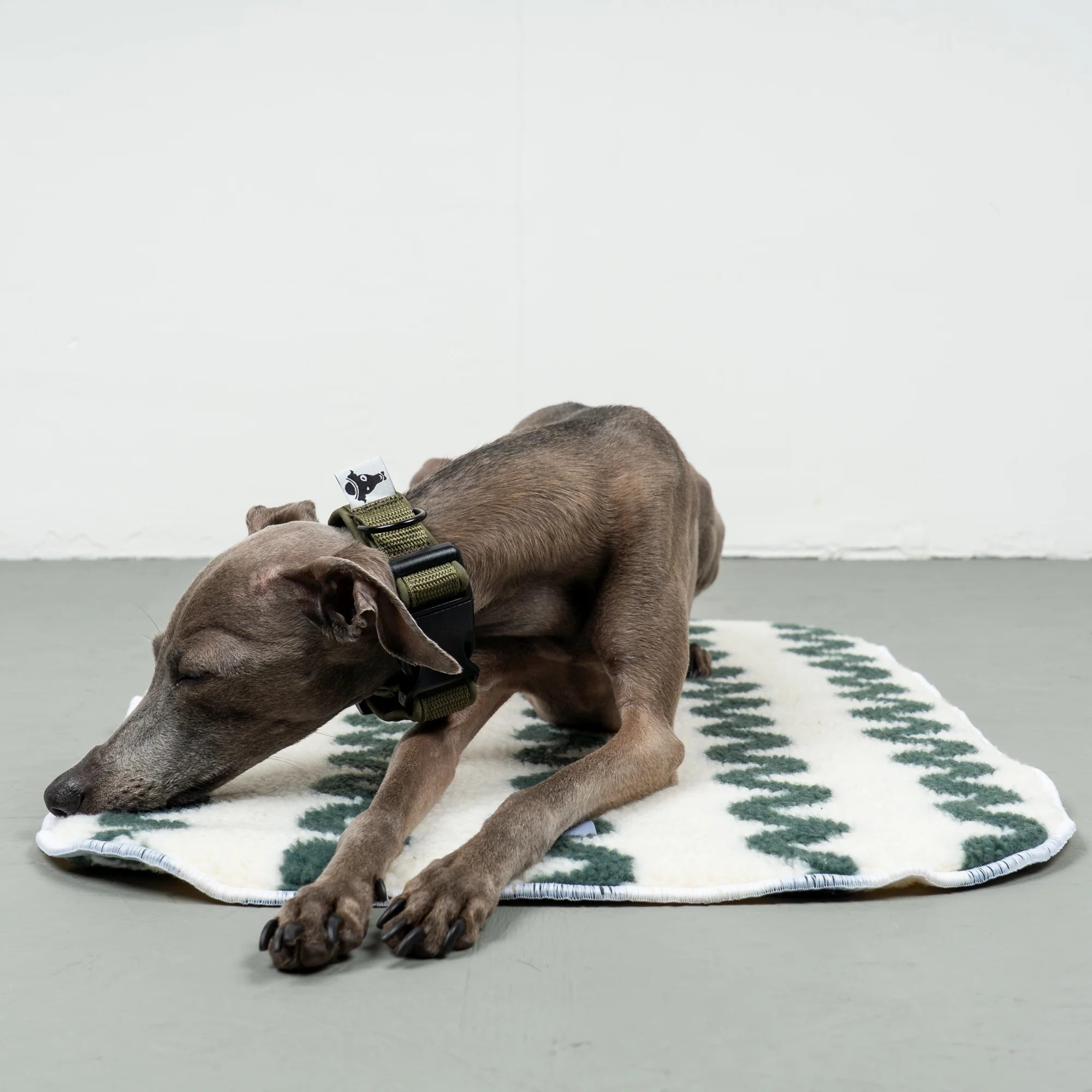 Karma-Hund-Platzdecke-Hundedecke-Green-Waves-Hund