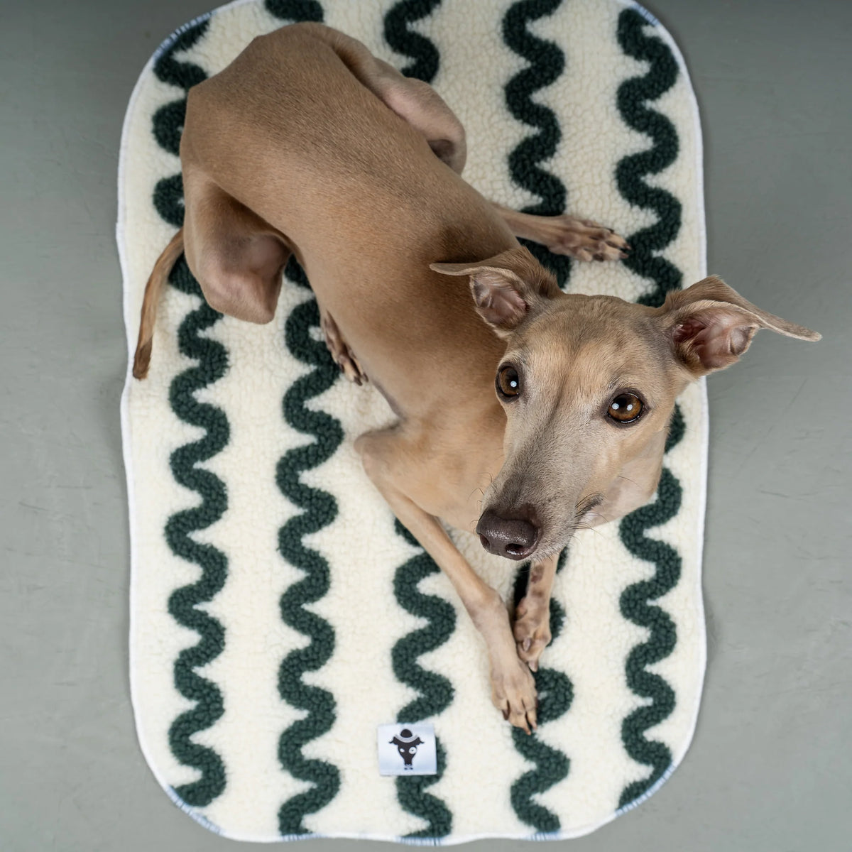 Karma-Hund-Platzdecke-Hundedecke-Green-Waves-Hund2