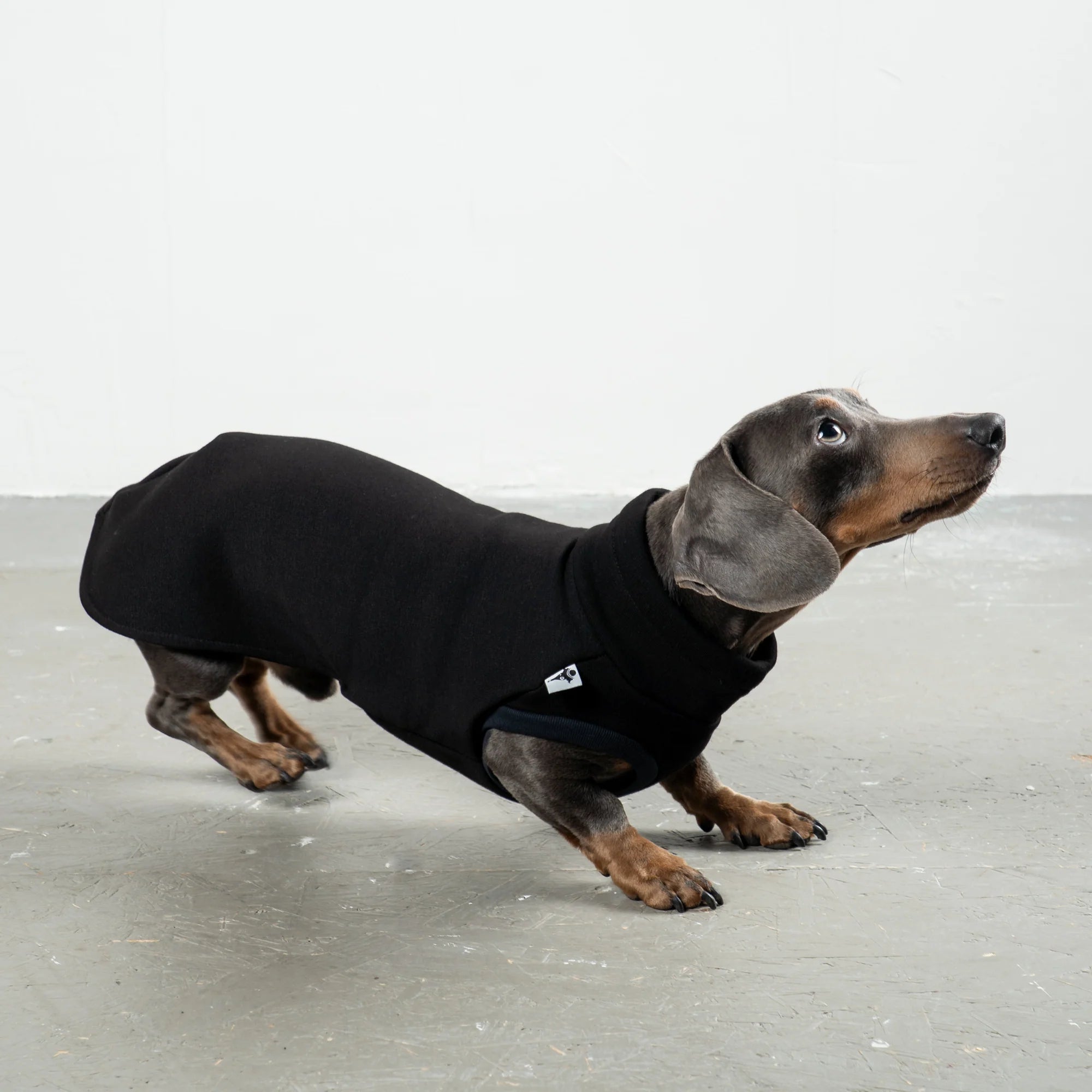 Karma-Hund-Sweatshirt-Dackel-Schwarz-2