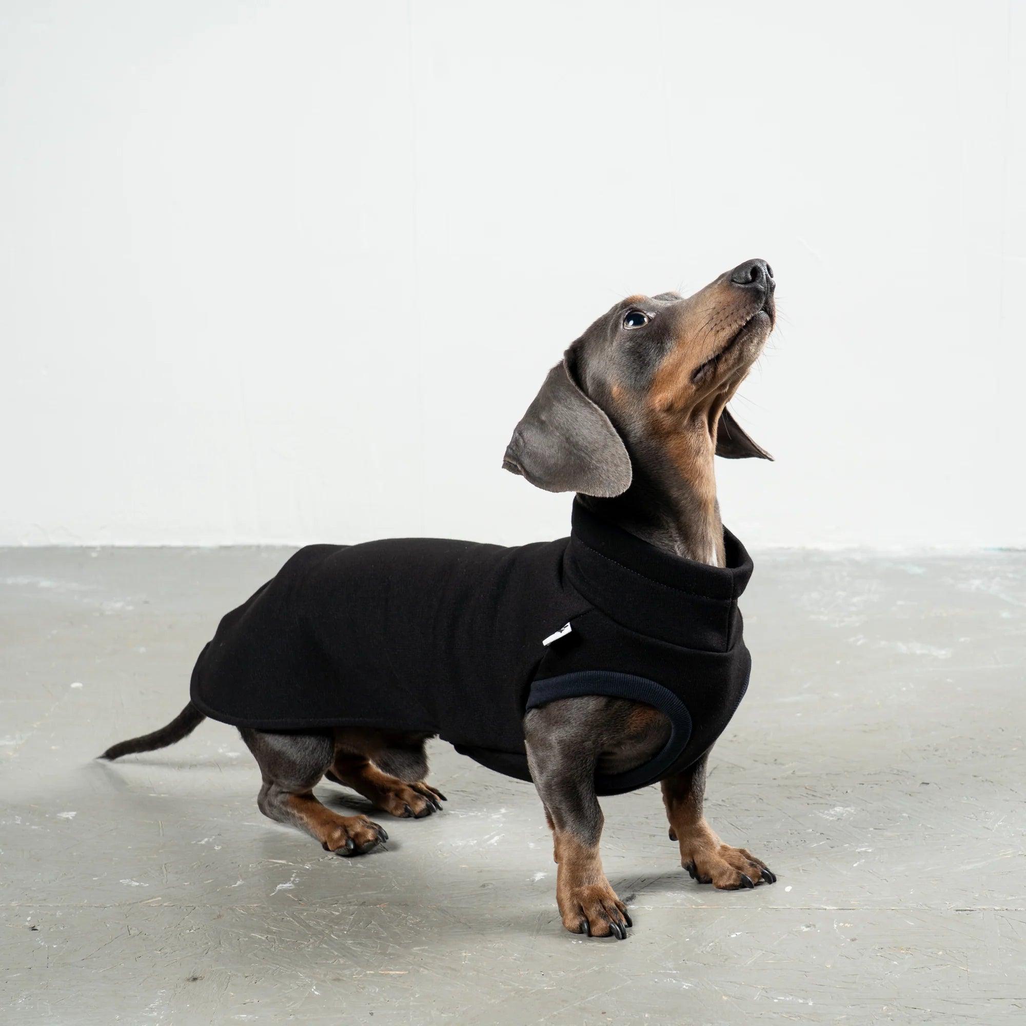 Karma-Hund-Sweatshirt-Dackel-Schwarz-4