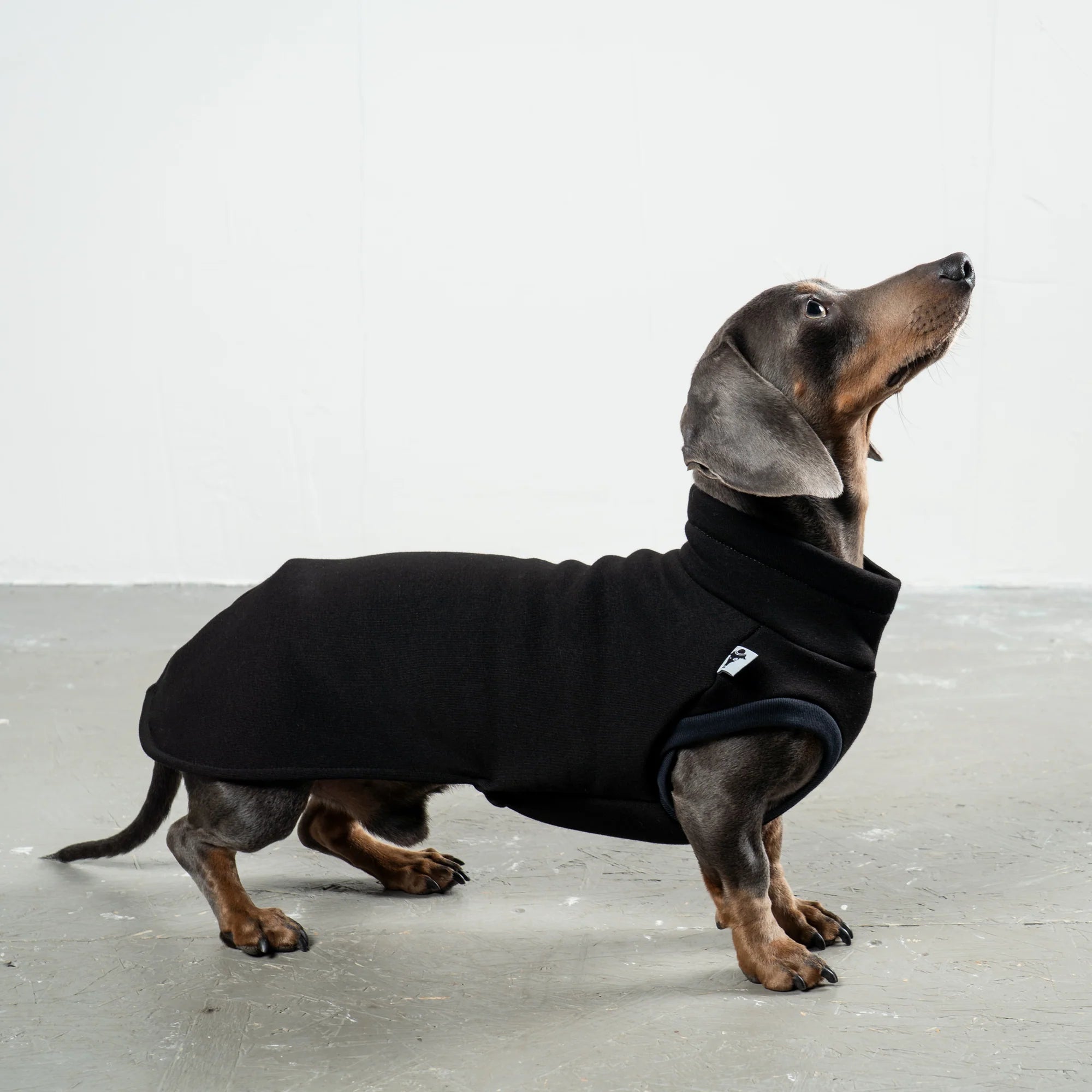 Karma-Hund-Sweatshirt-Dackel-Schwarz