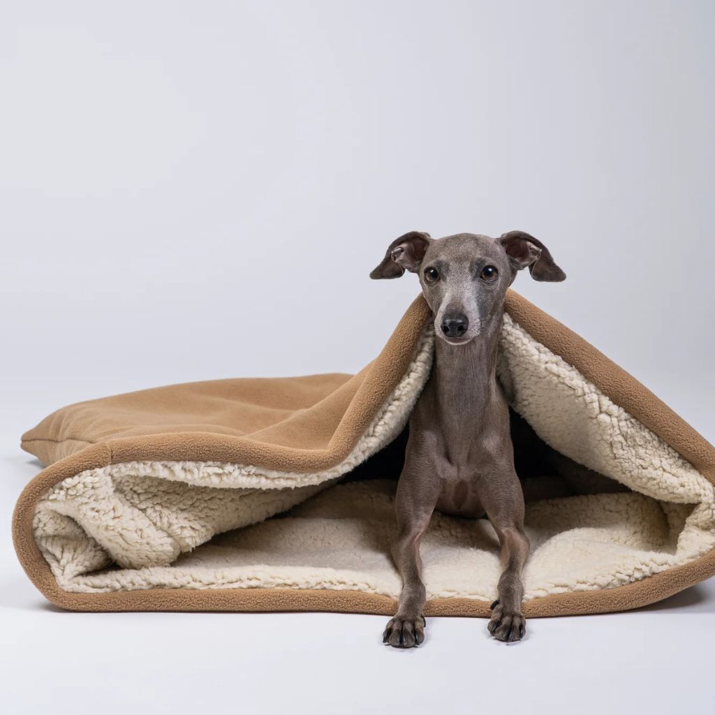 Karma-Hund-Teddy-Kuschelschlafsack-Beige-Mood6