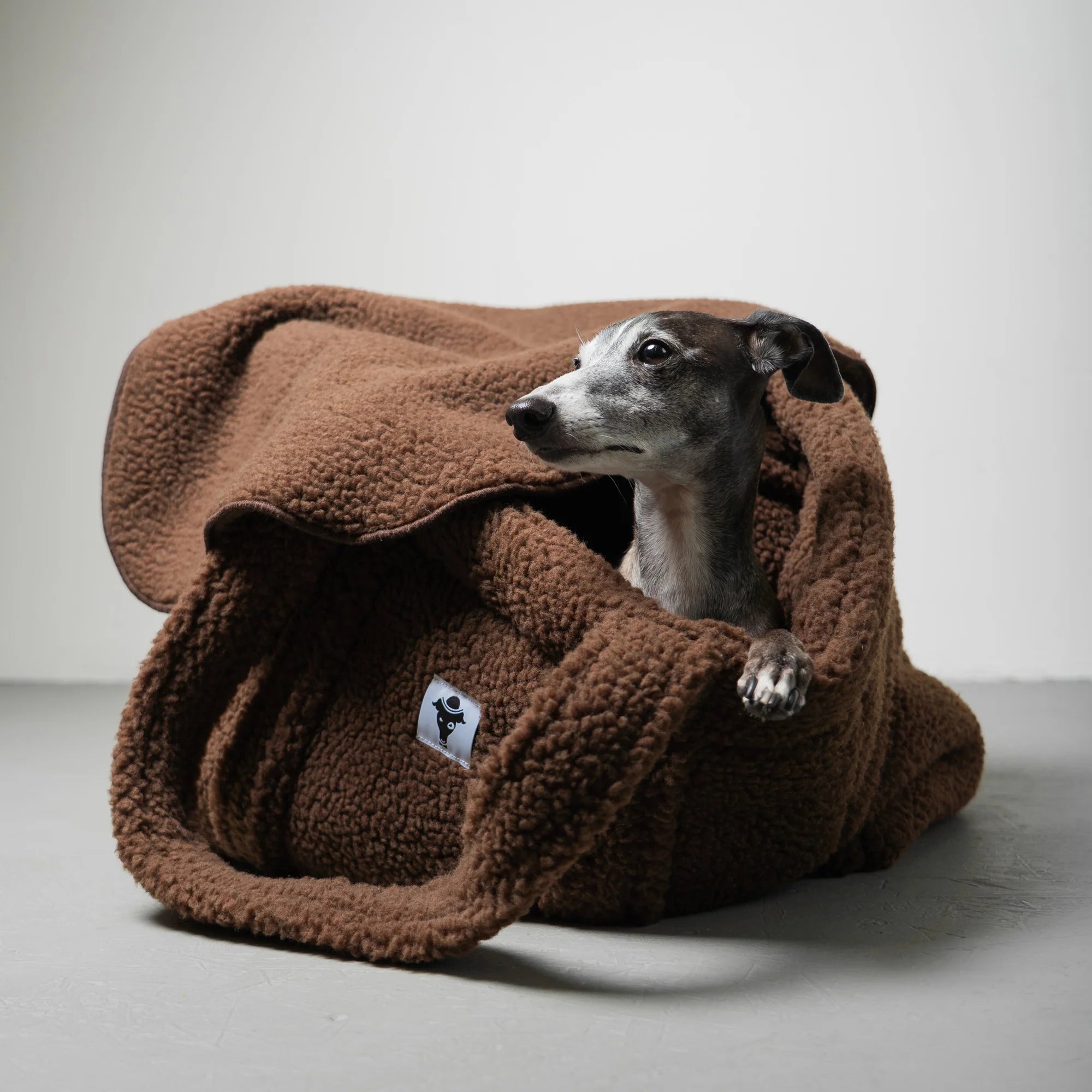 Karma-Hund-Teddy-Shopper-Brown-Iggy2